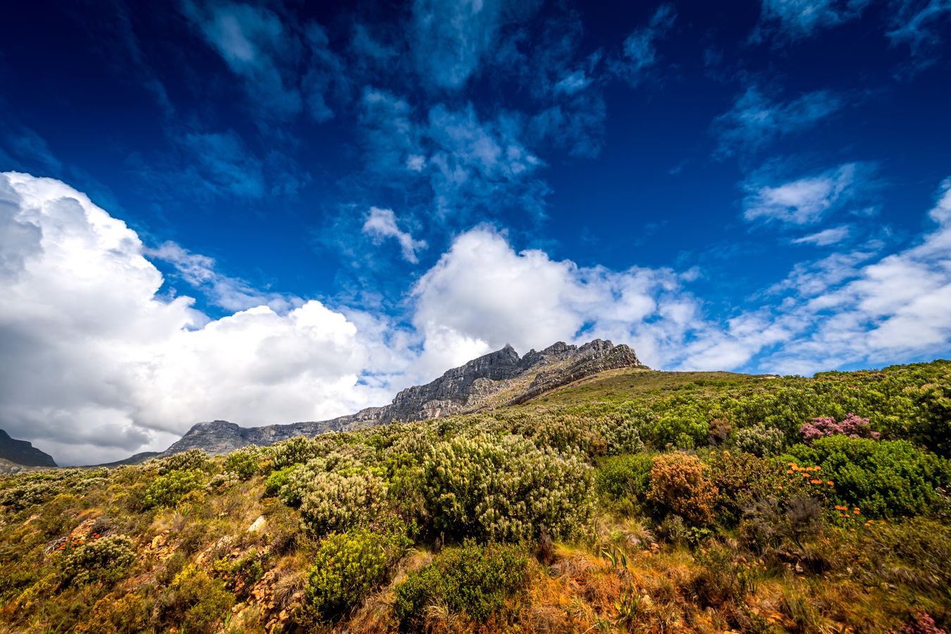 Afrique du Sud 2019 449