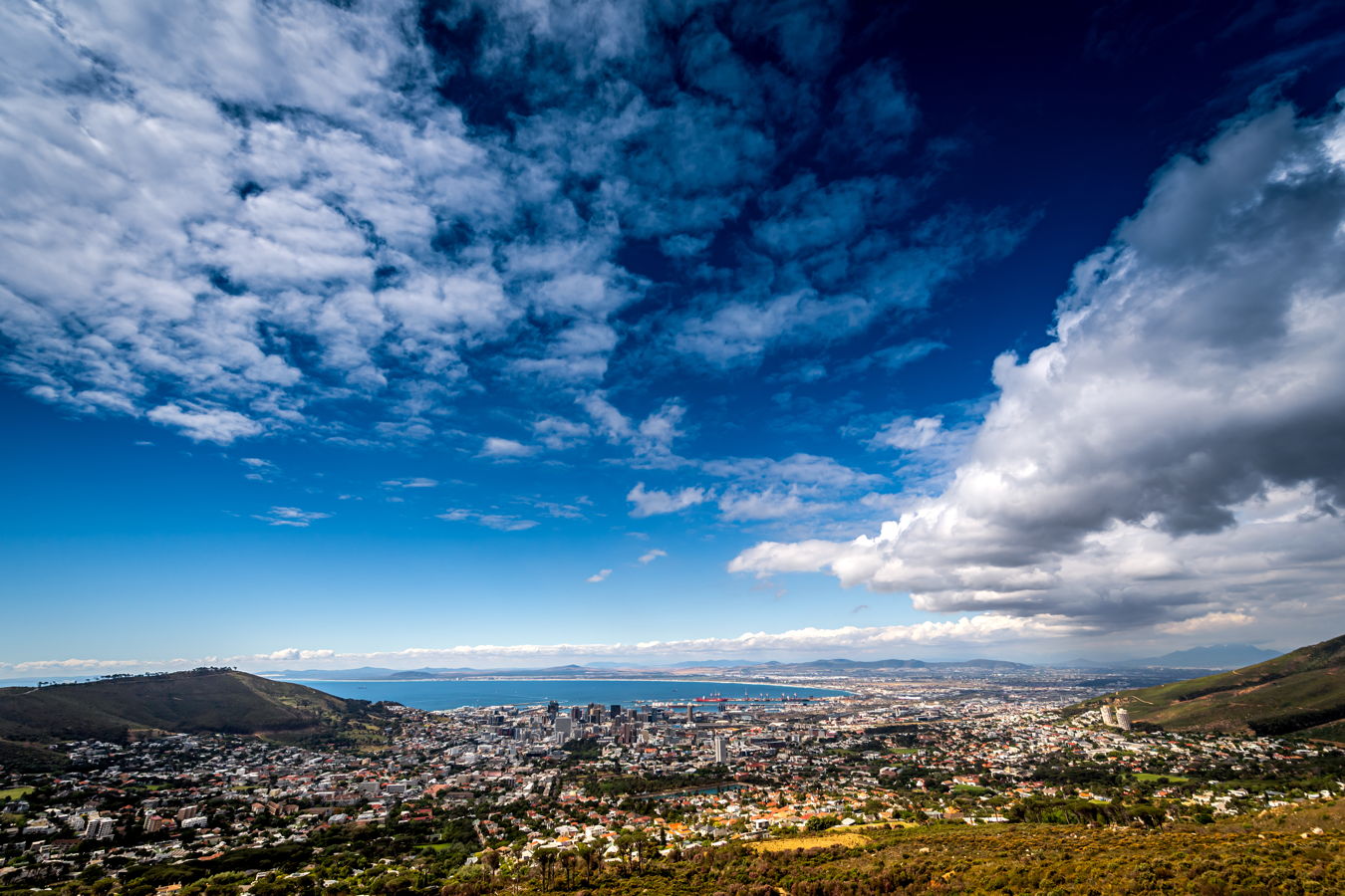 Afrique du Sud 2019 450