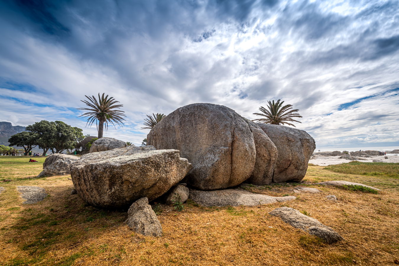 Afrique du Sud 2019 452