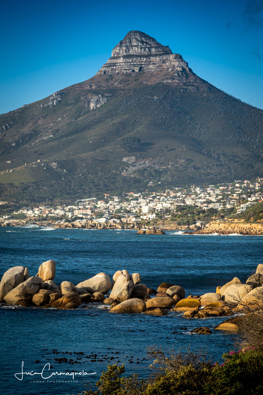 Afrique du Sud 2019 511
