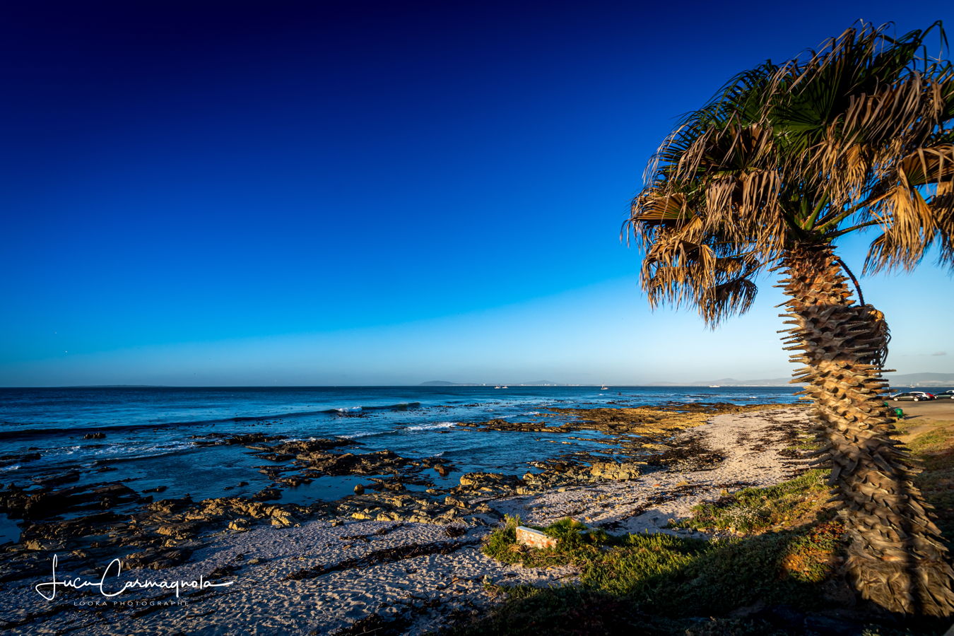 Afrique du Sud 2019 514