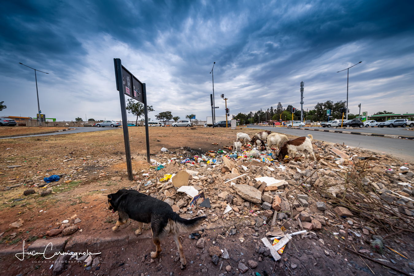 Afrique du Sud 2019 075