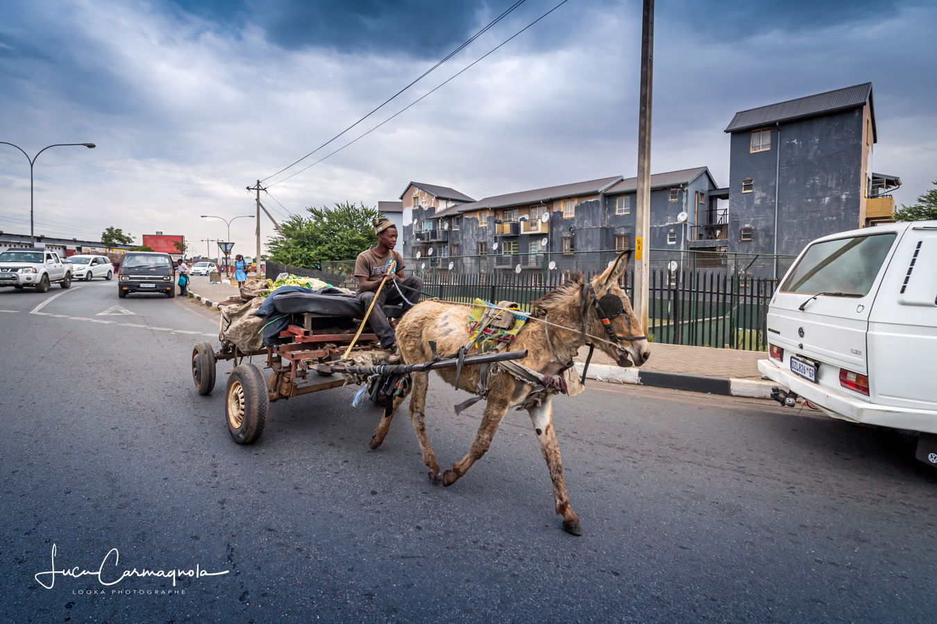 Afrique du Sud 2019 115