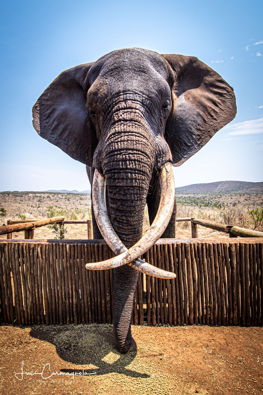 Afrique du Sud 2019 722