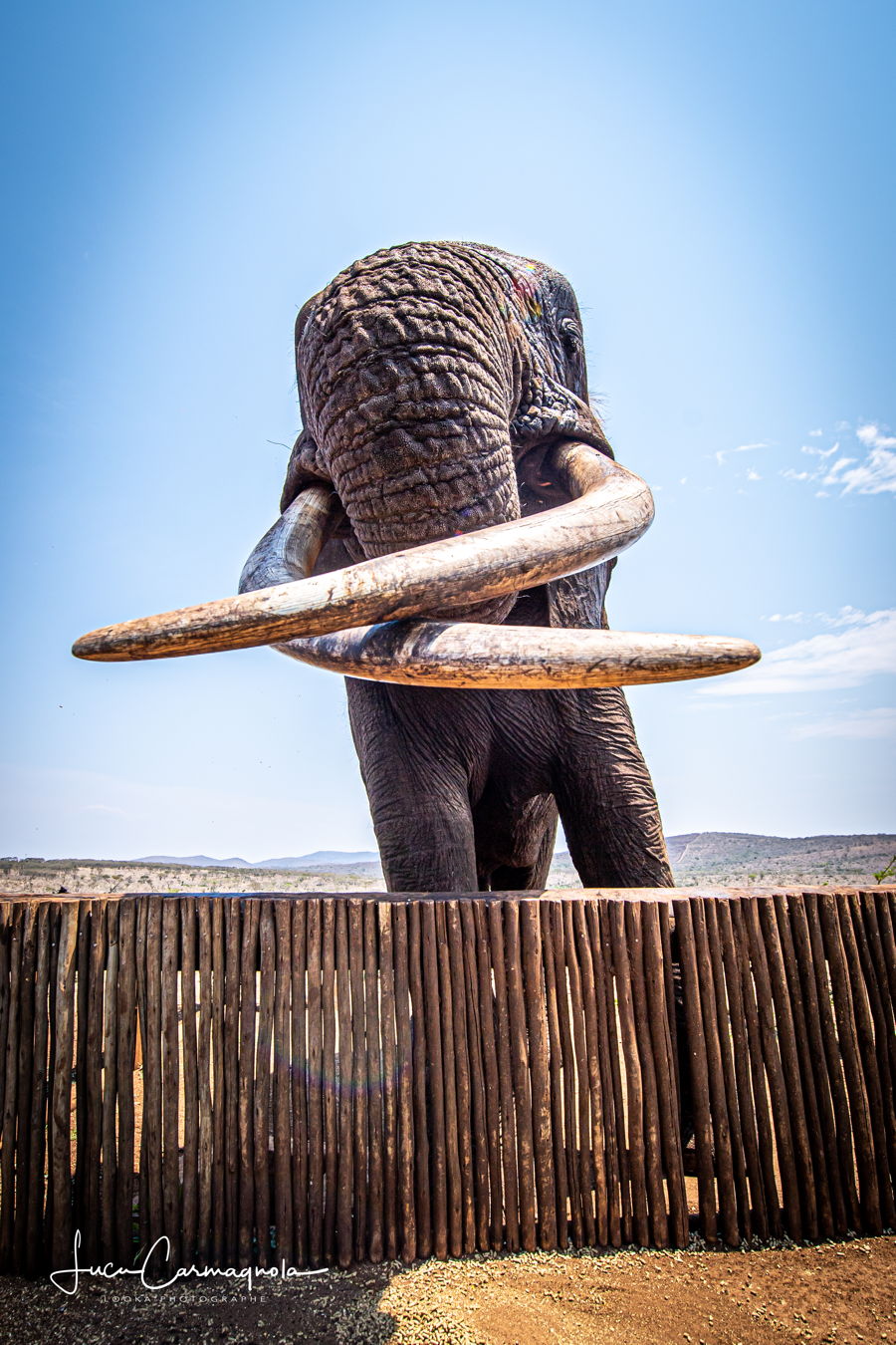 Afrique du Sud 2019 728