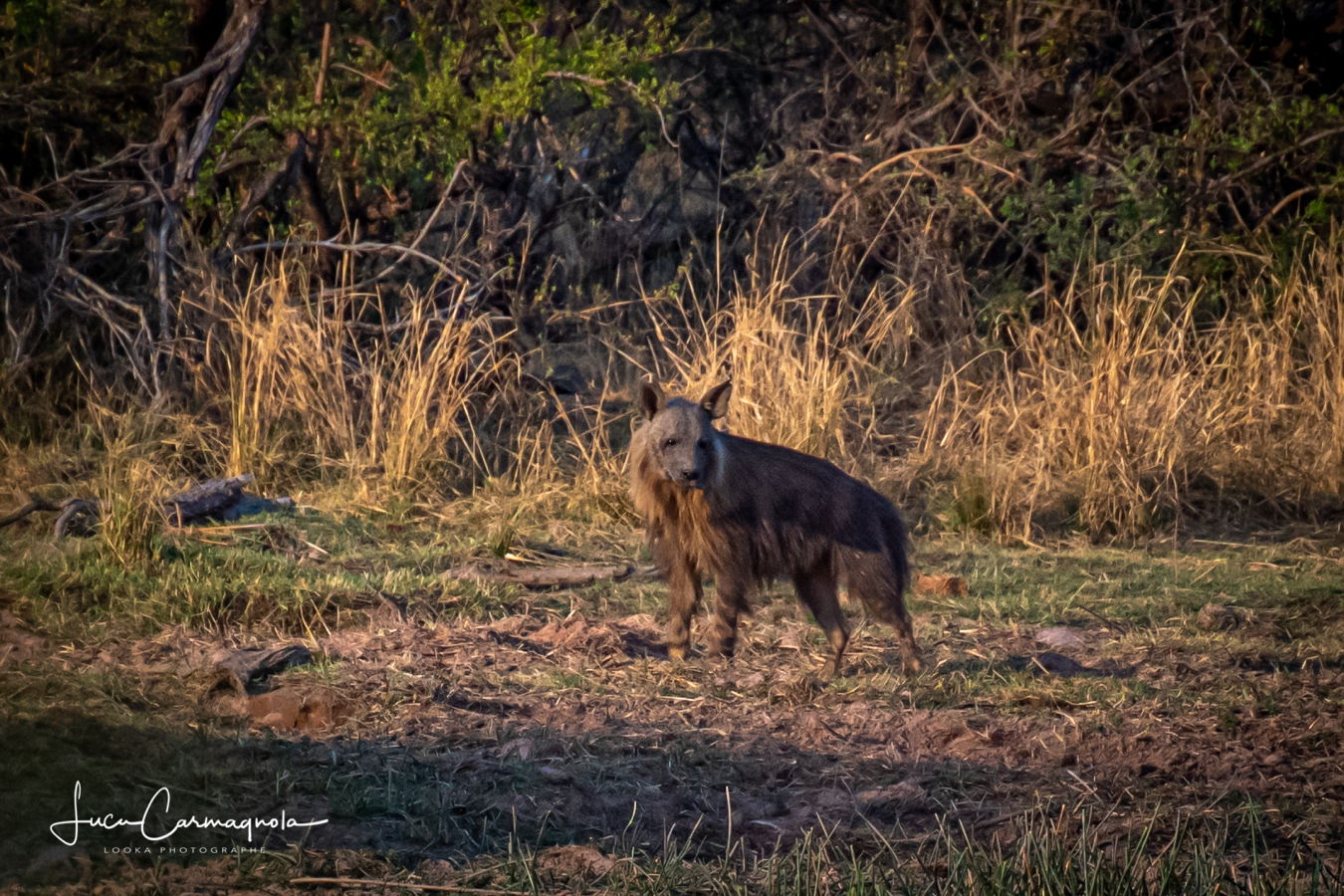 Afrique du Sud 2019 151