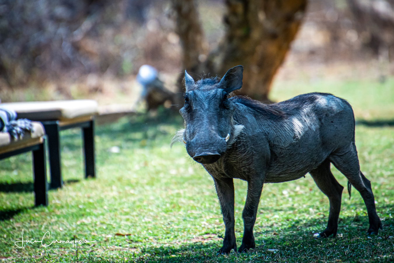 Afrique du Sud 2019 208