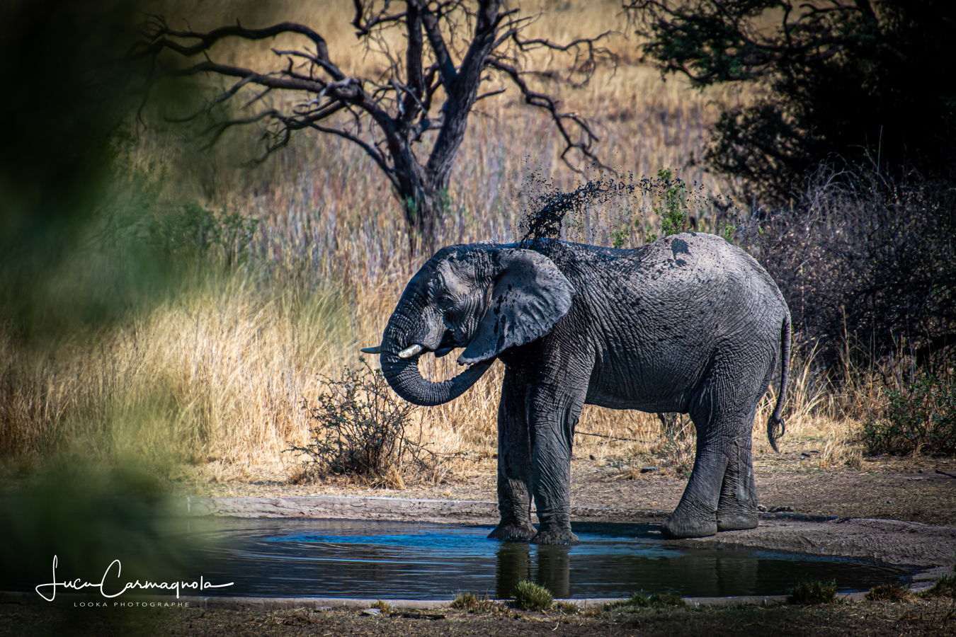 Afrique du Sud 2019 213