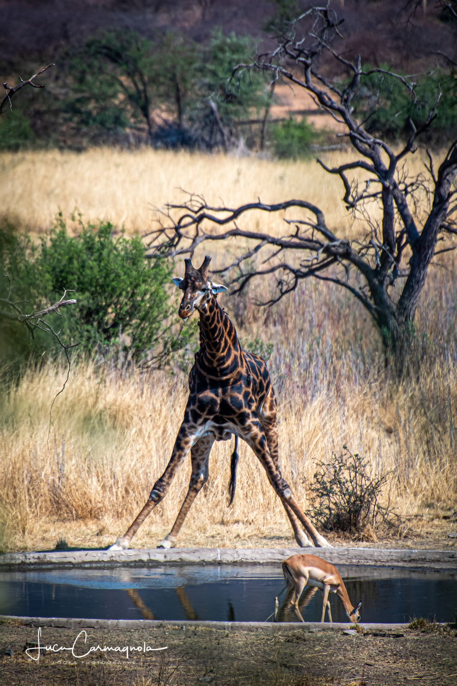 Afrique du Sud 2019 219
