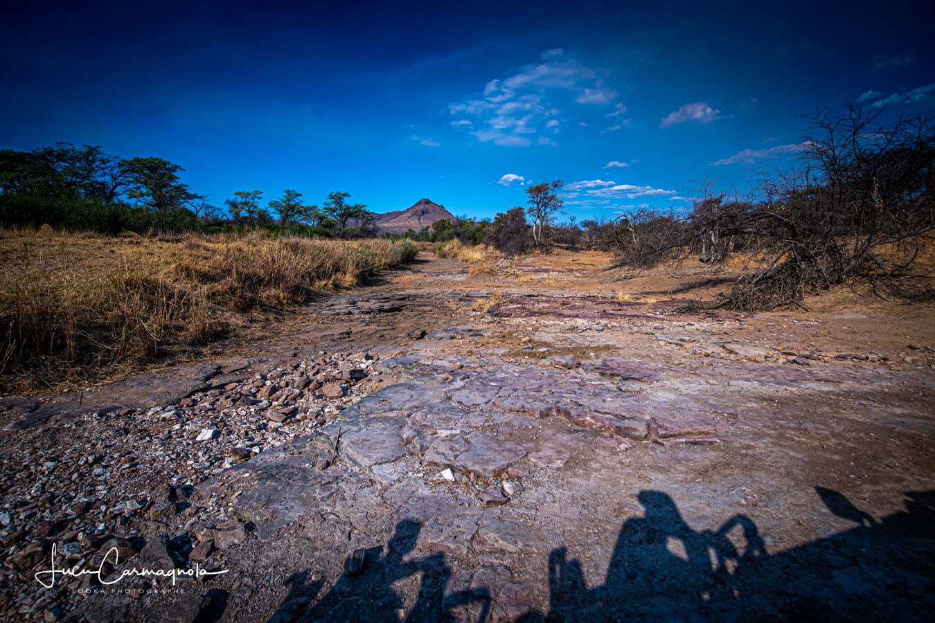 Afrique du Sud 2019 230
