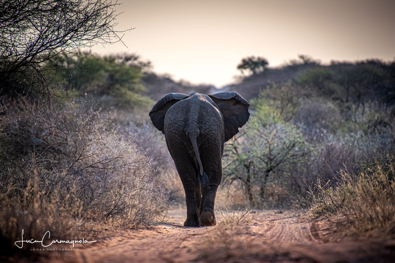 Afrique du Sud 2019 280