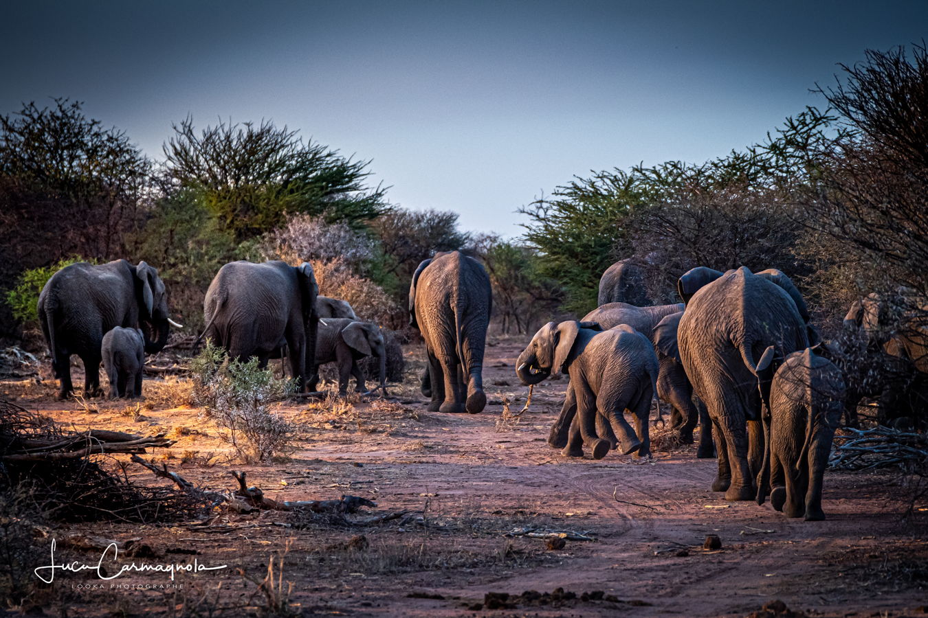 Afrique du Sud 2019 293