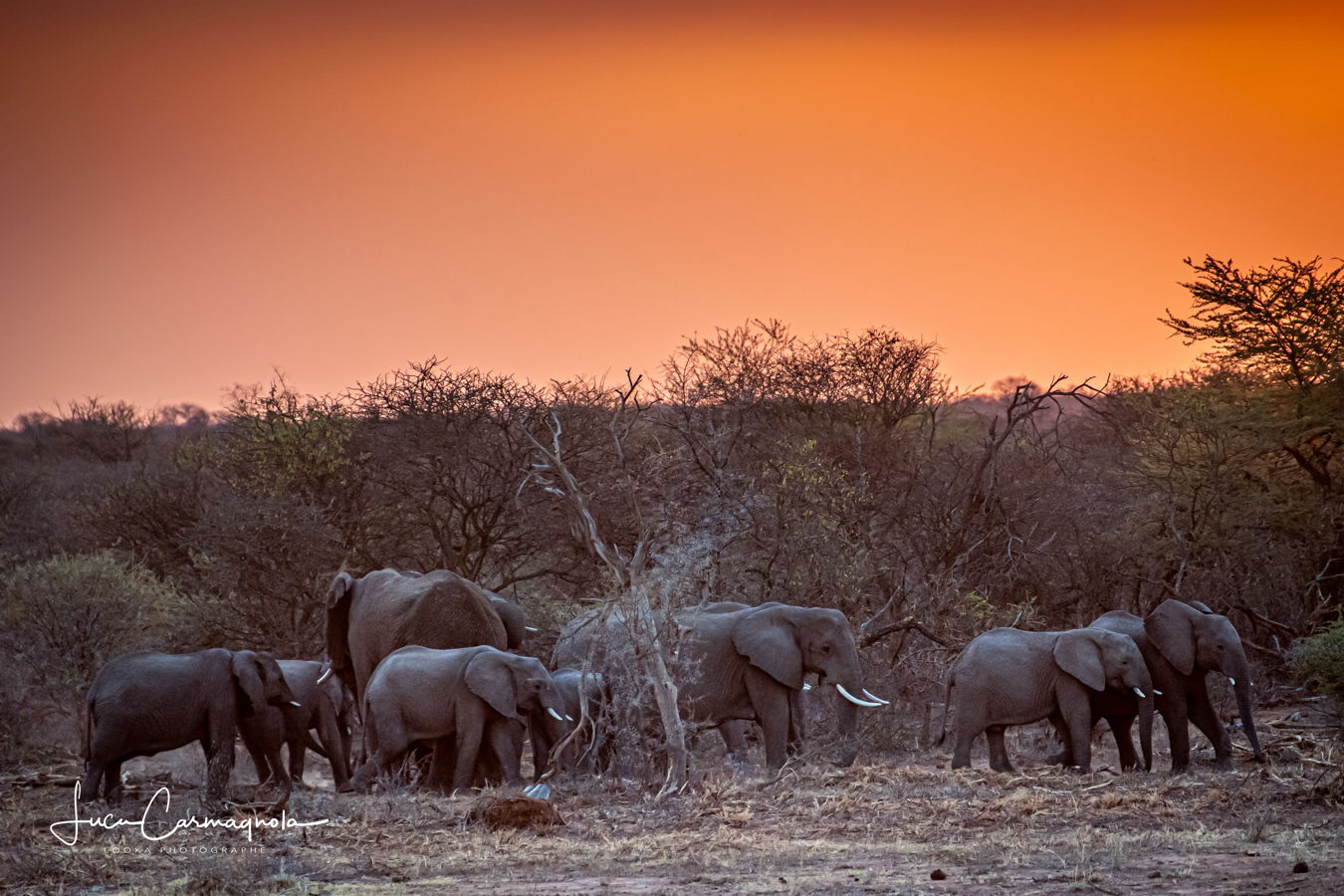 Afrique du Sud 2019 297
