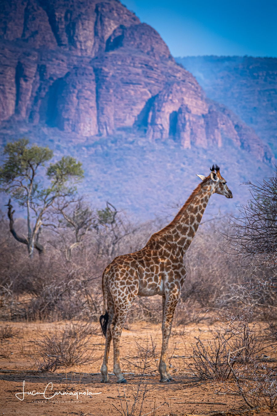 Afrique du Sud 2019 356