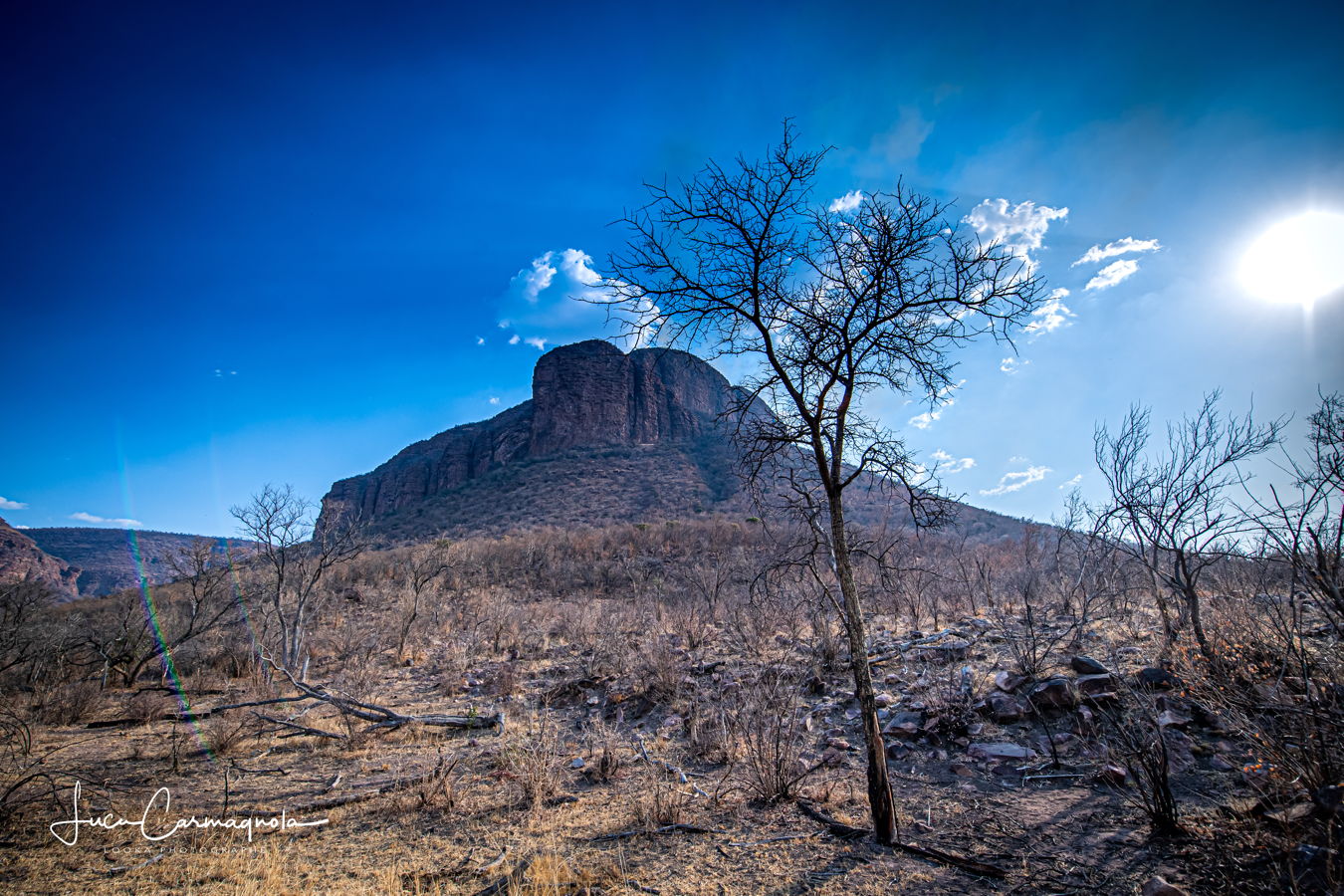 Afrique du Sud 2019 369