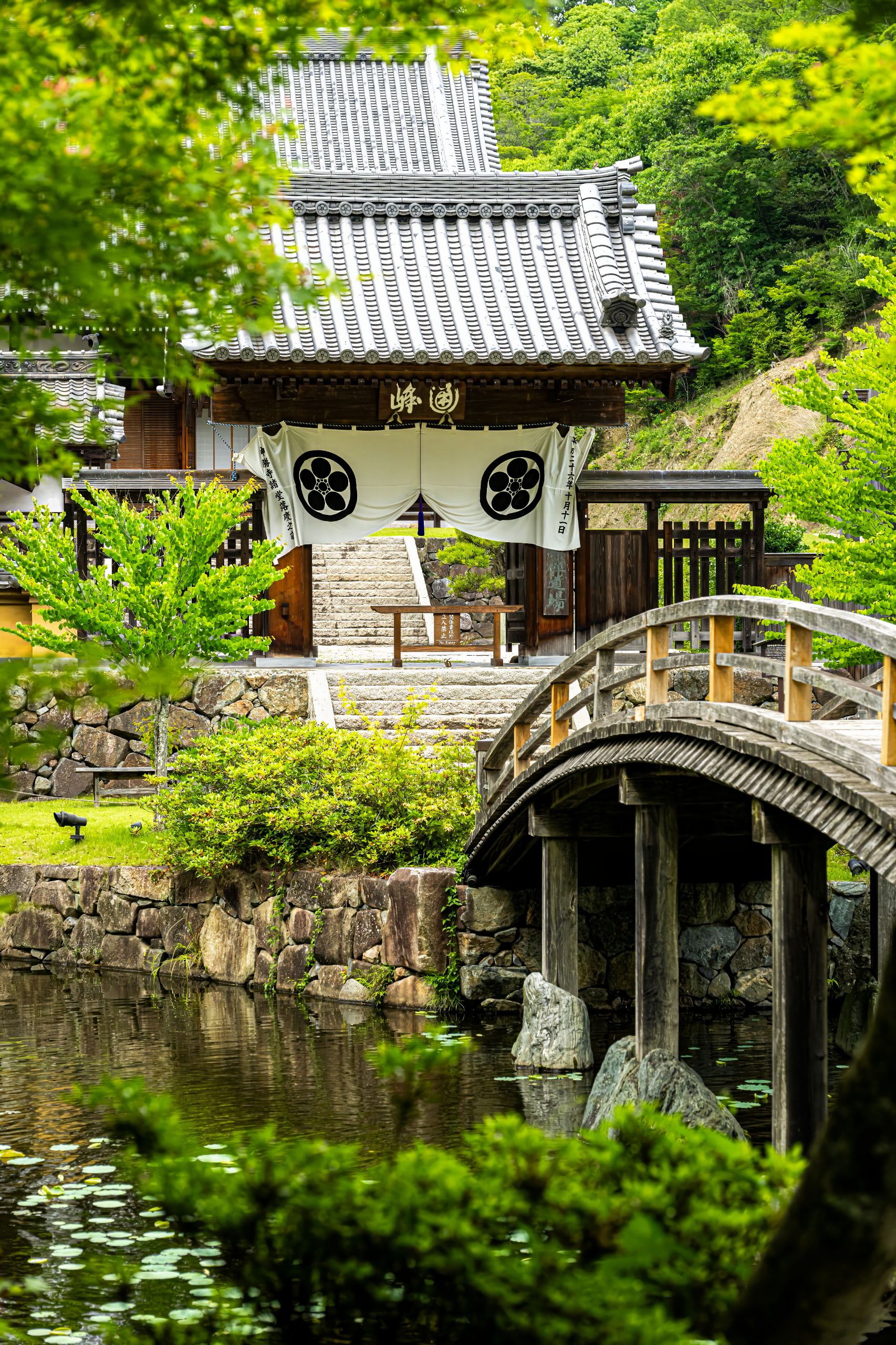 Japon 2025 410ok