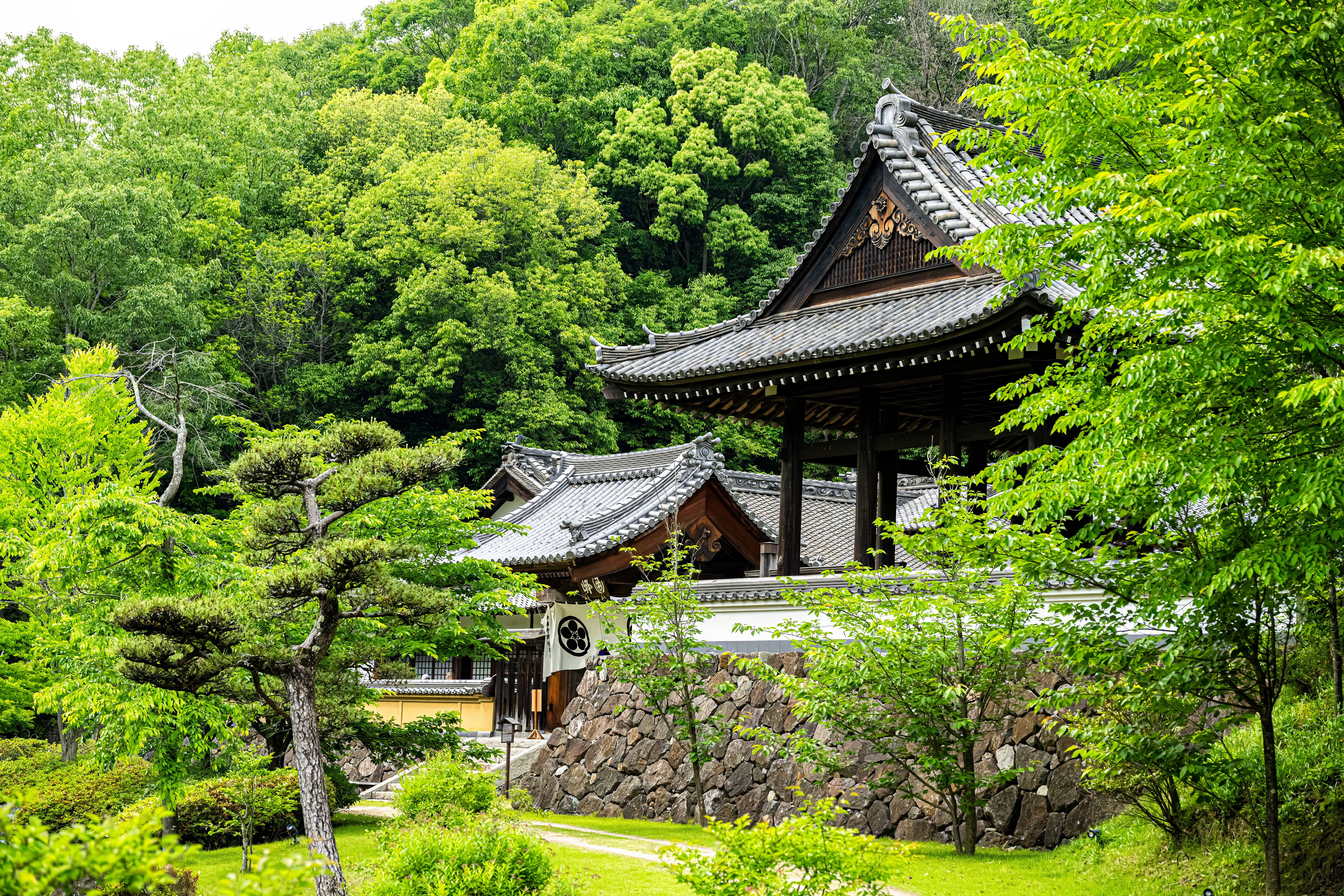 Japon 2025 436ok