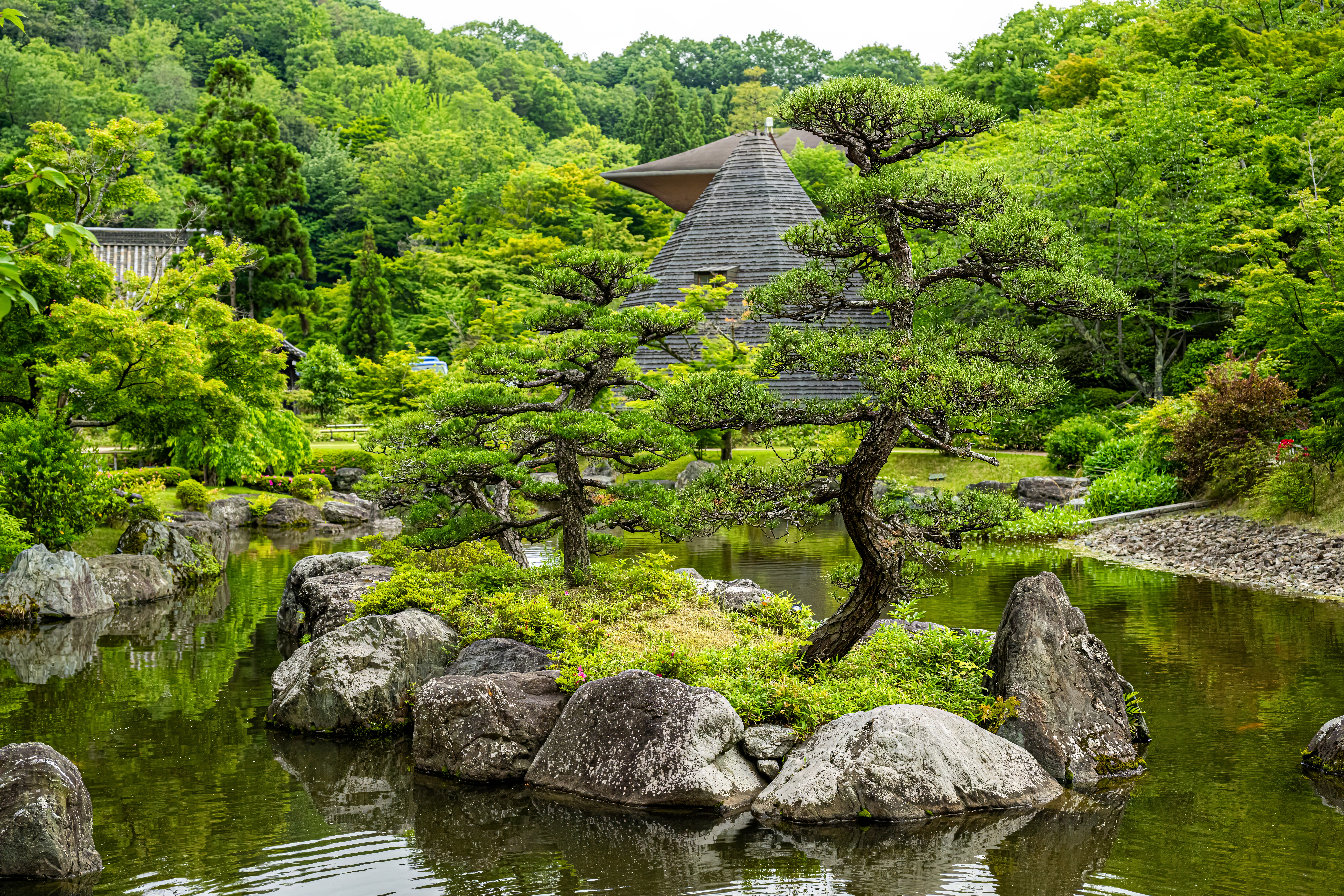Japon 2025 437ok