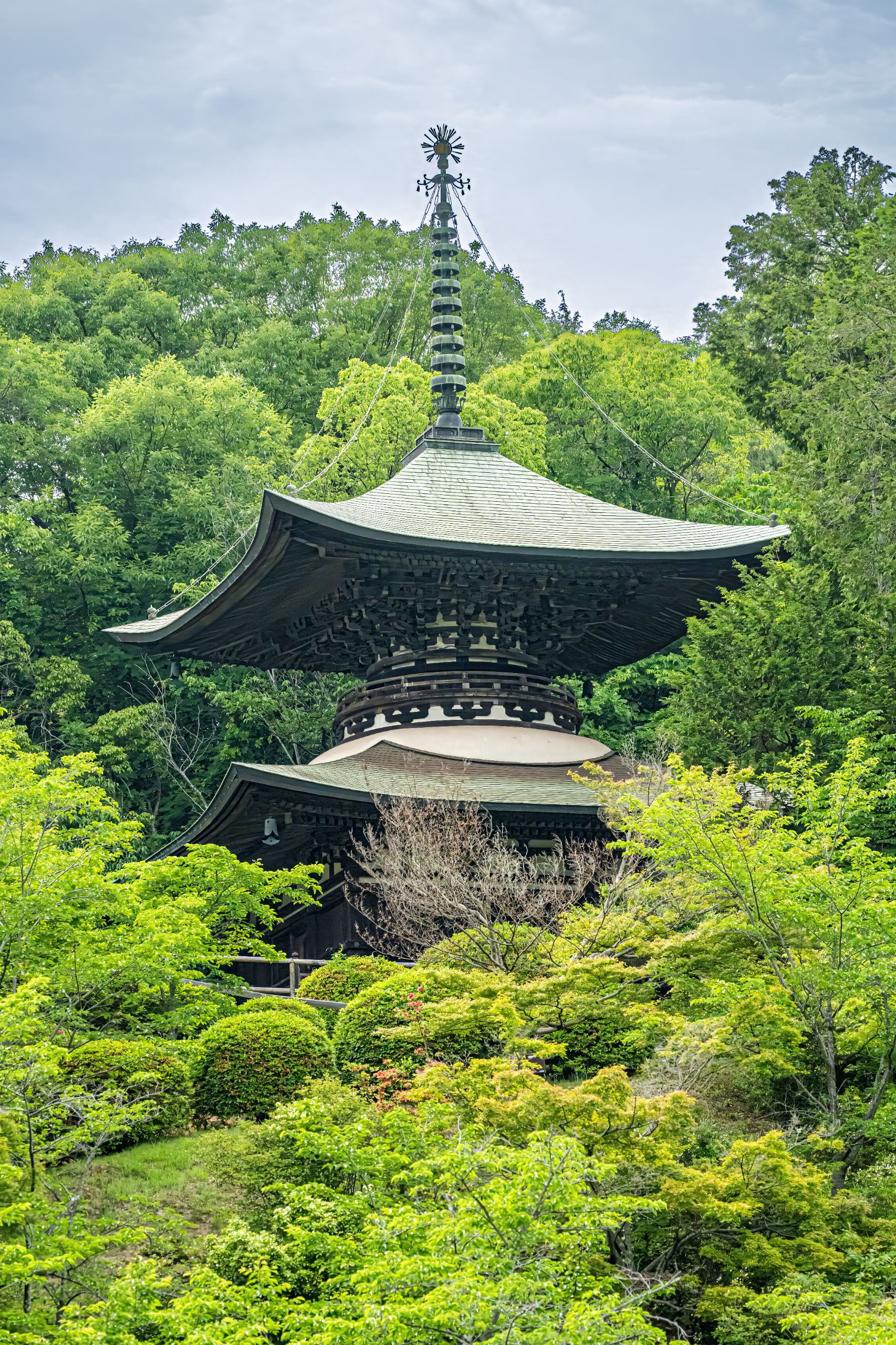 Japon 2025 438ok