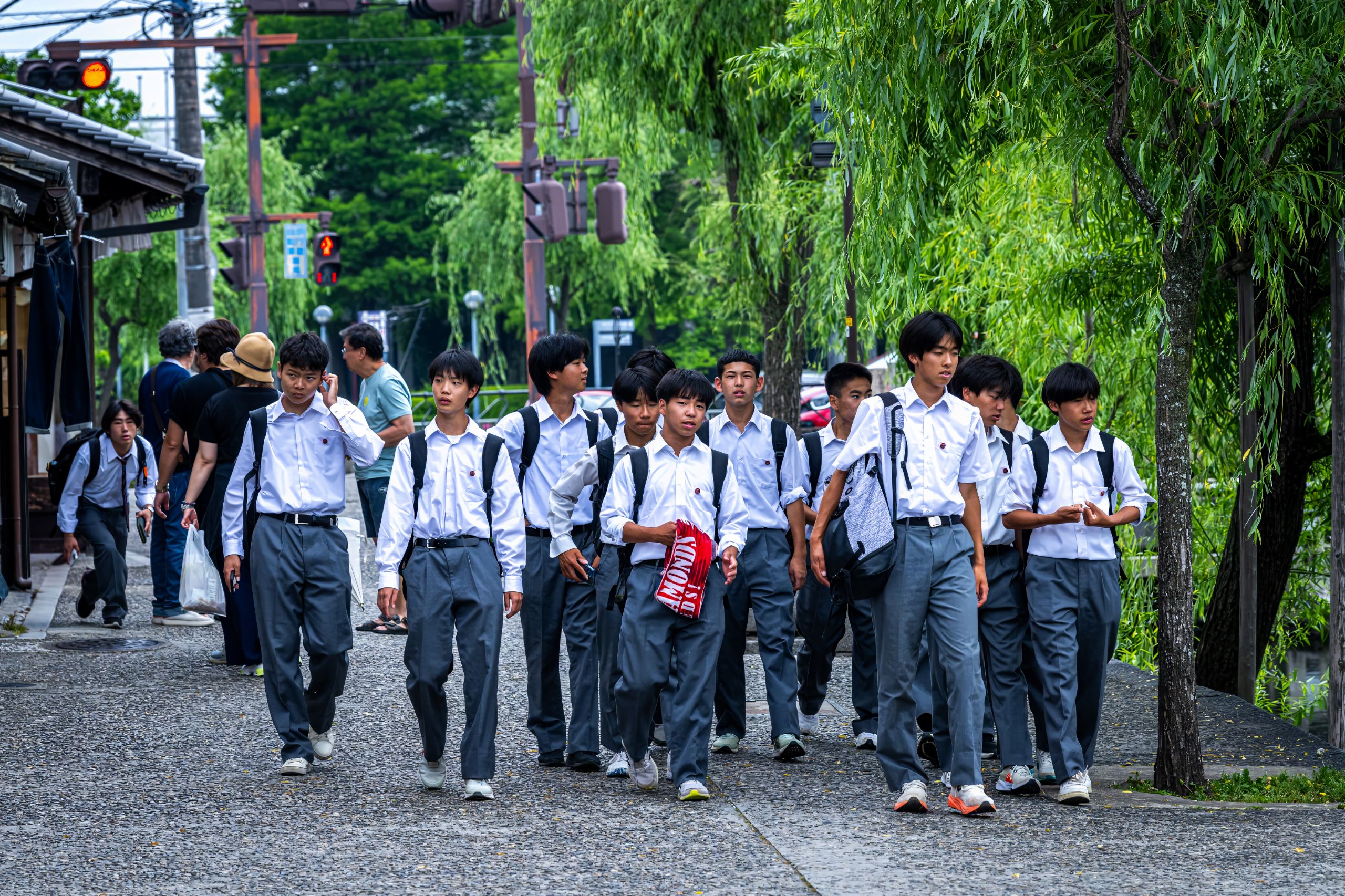 Japon 2025 282ok