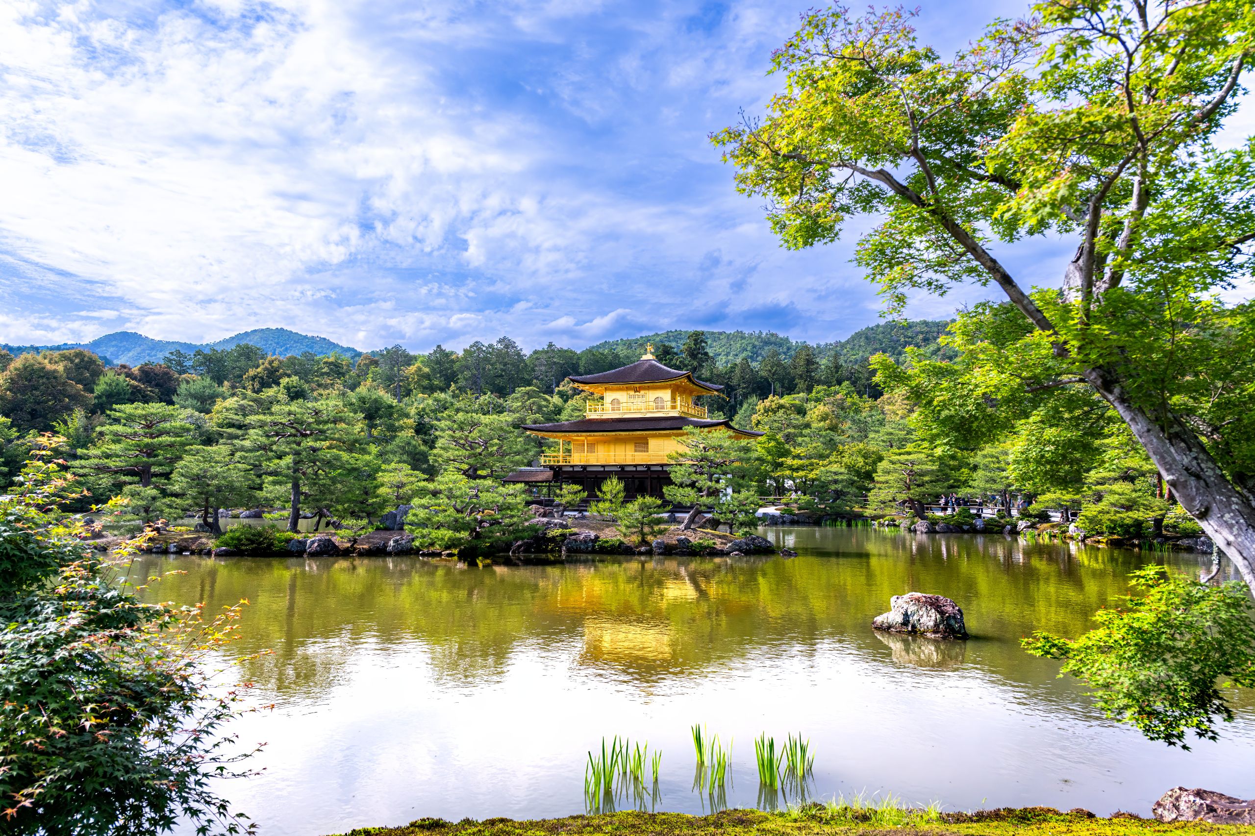 Kyoto