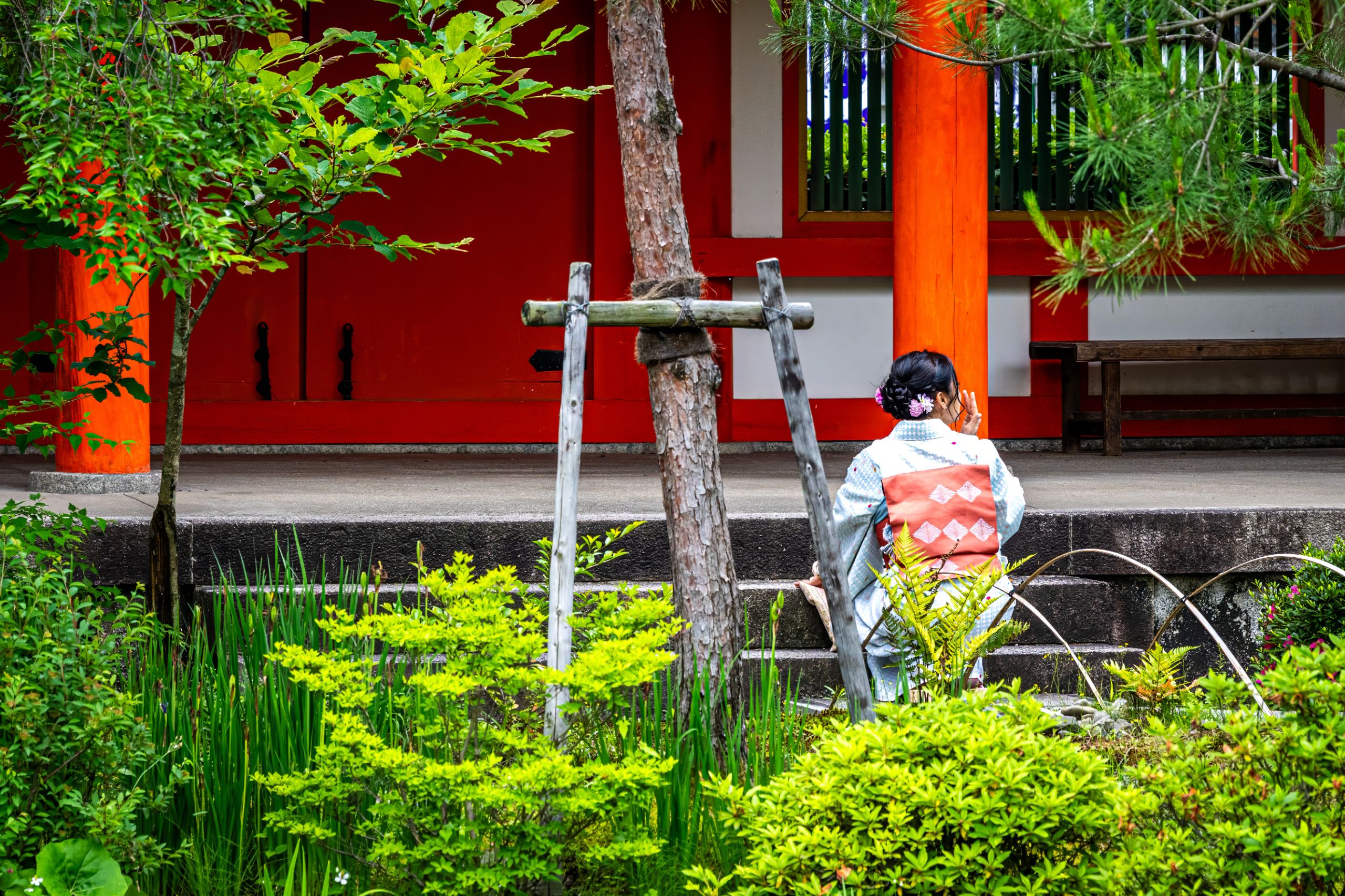 Japon 2025 550ok
