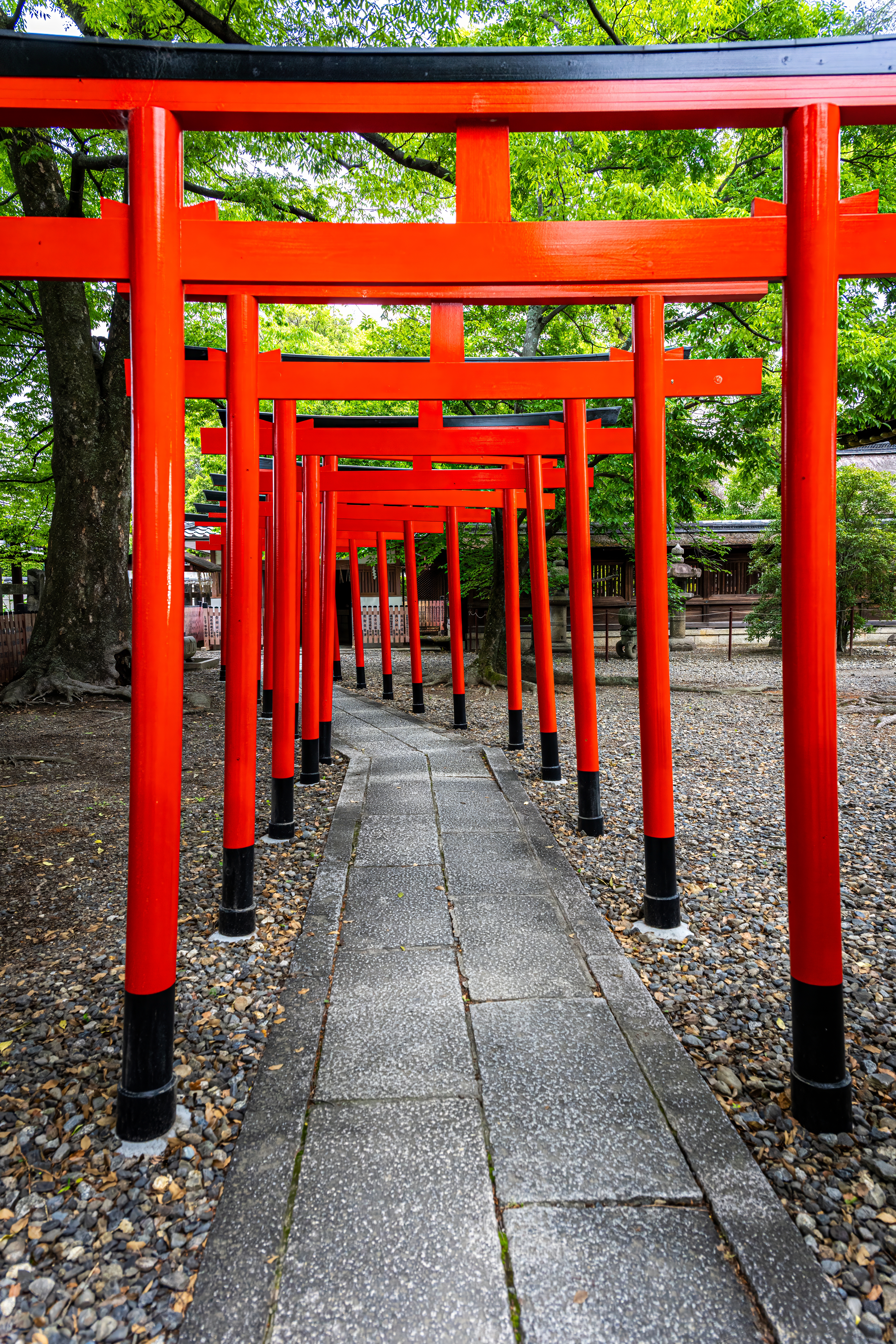 Japon 2025 585ok