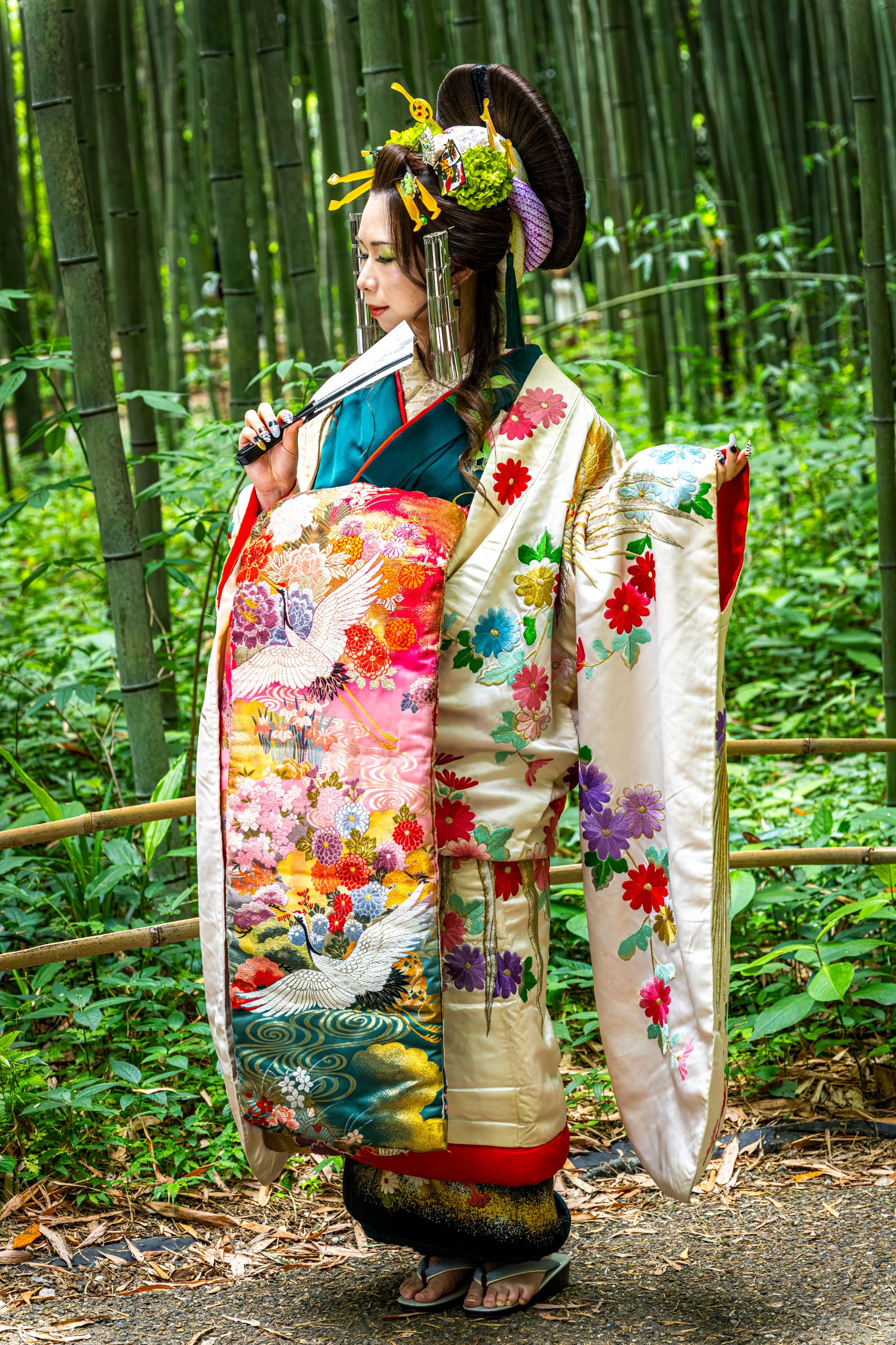Japon 2025 662ok