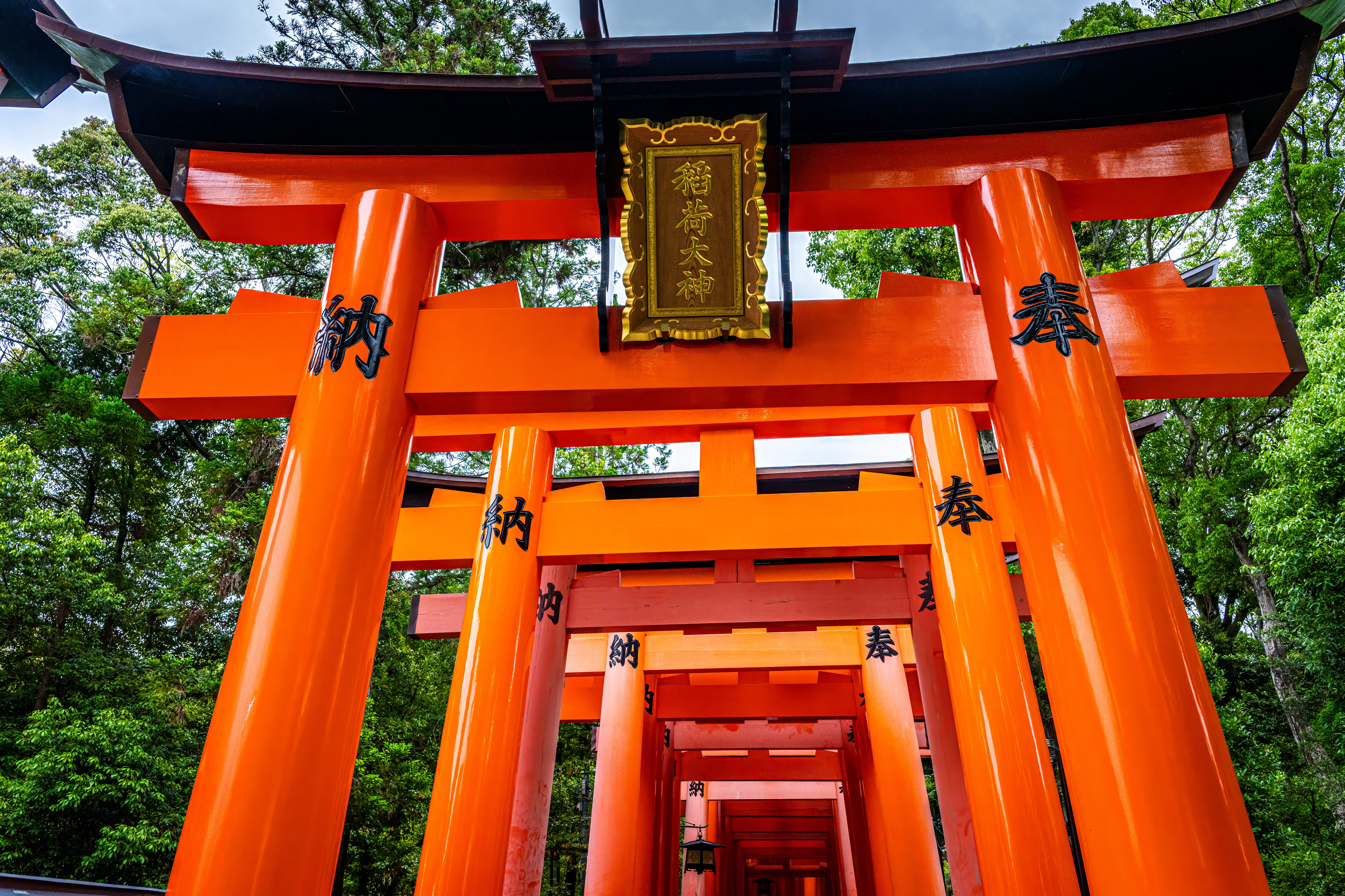 Japon 2025 749ok