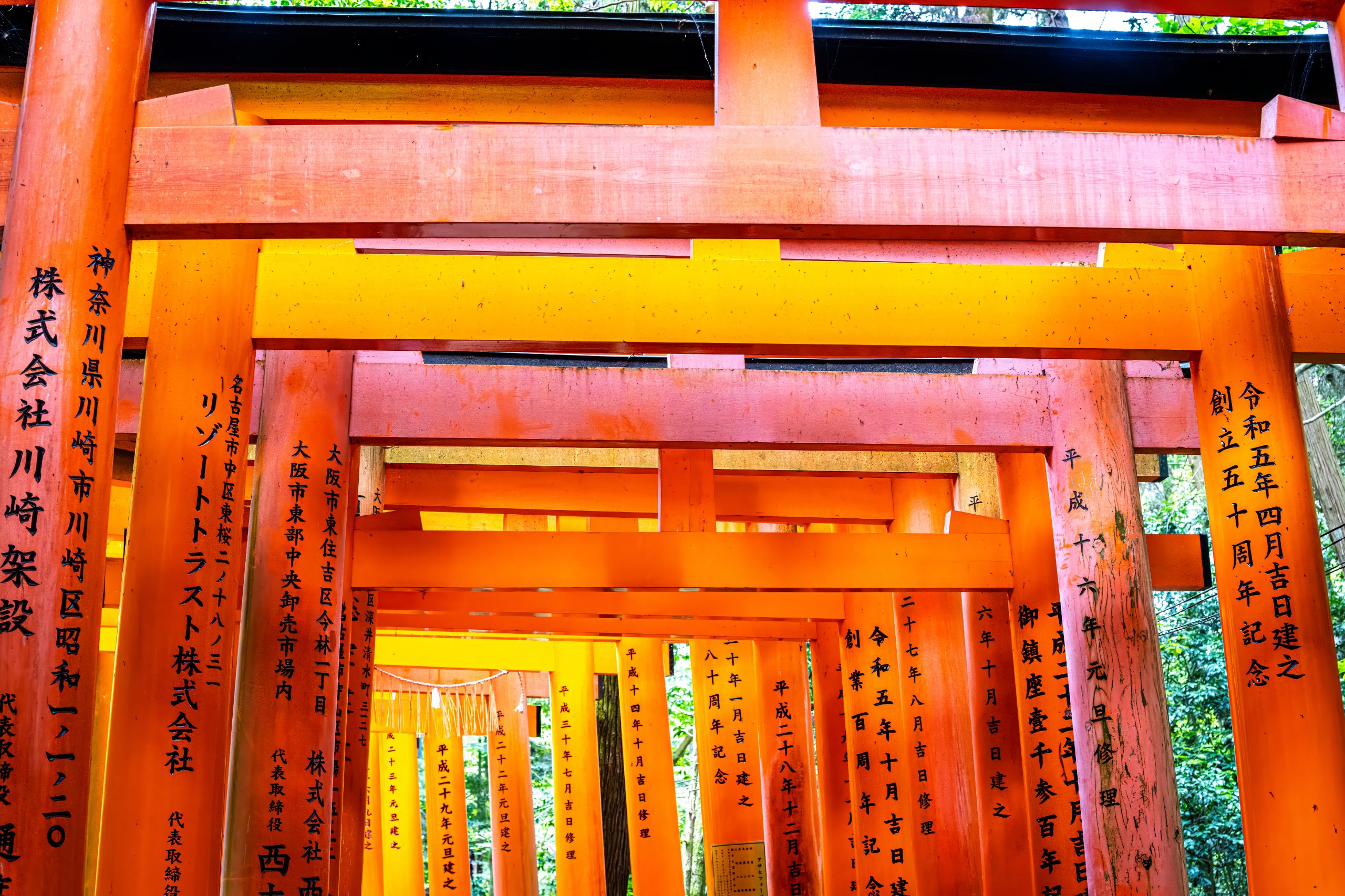 Japon 2025 753ok
