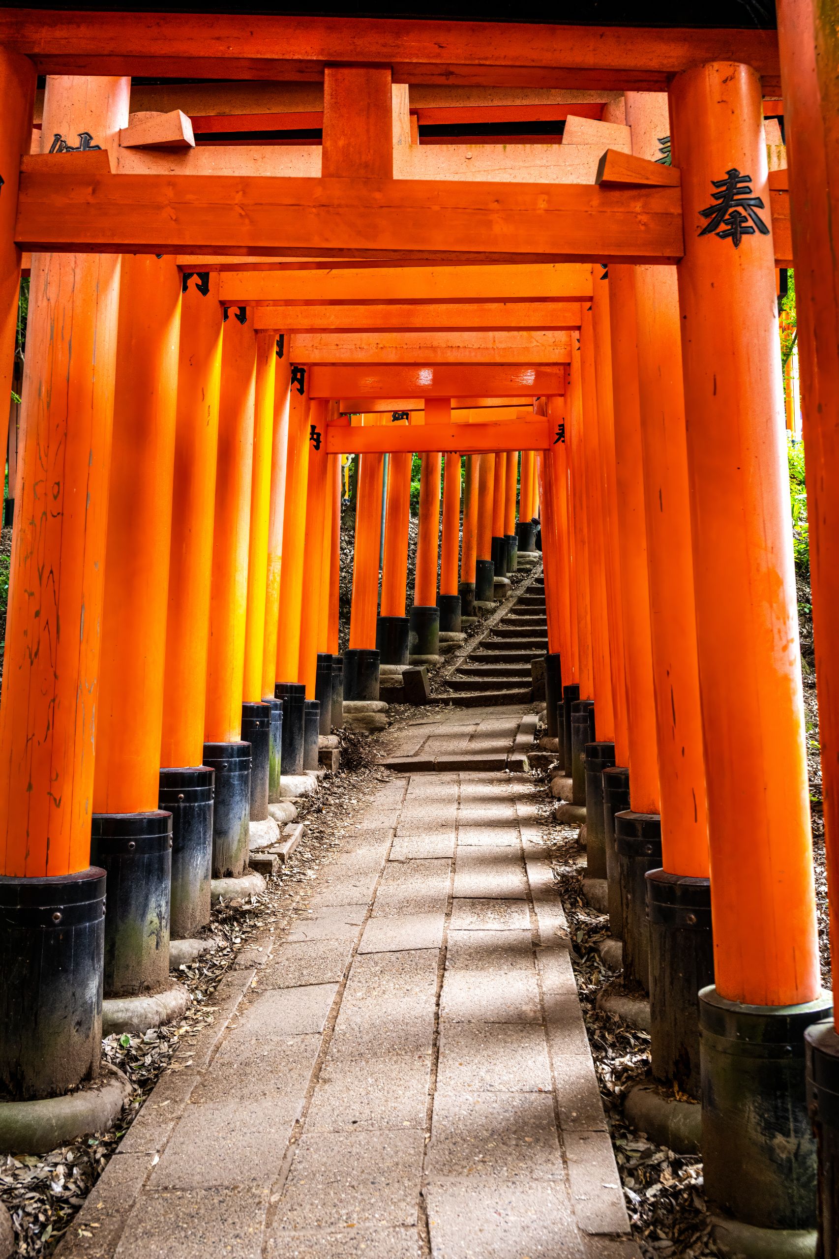 Japon 2025 756ok