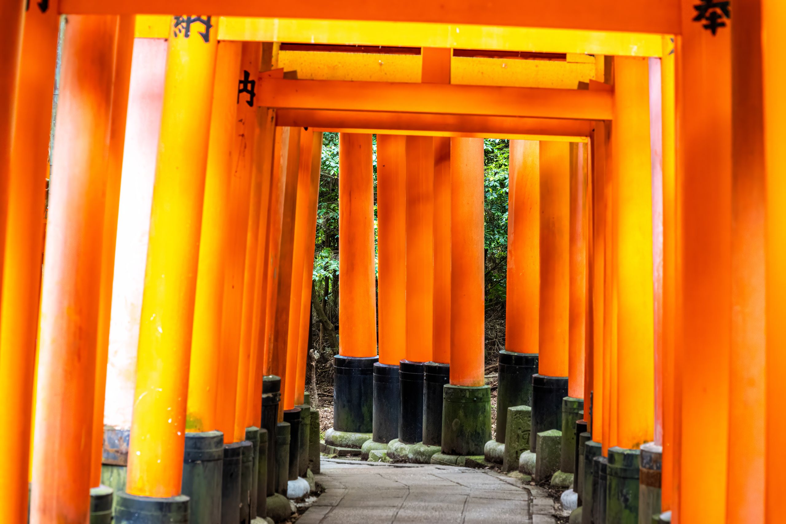 Japon 2025 760ok
