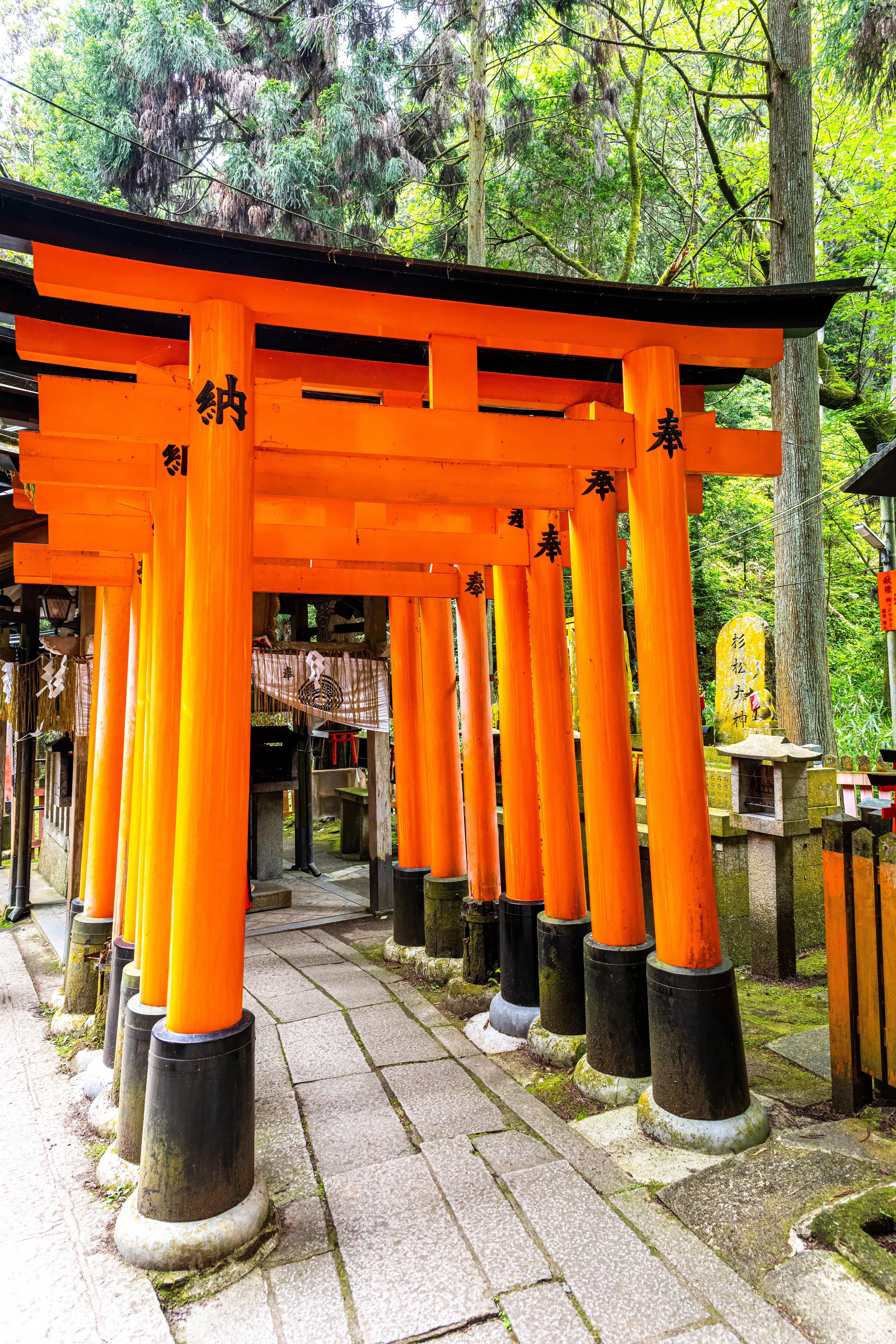 Japon 2025 761ok