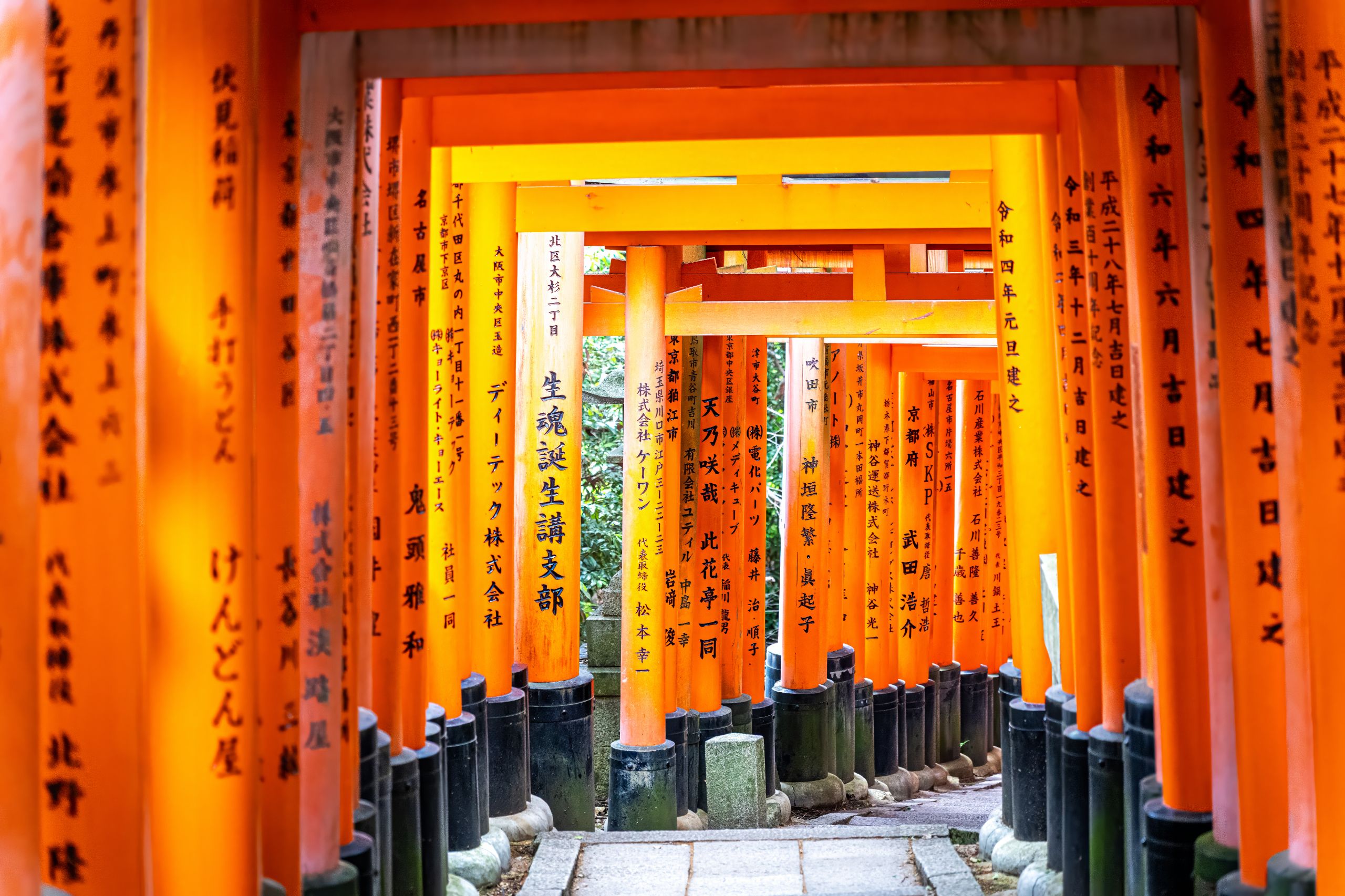 Japon 2025 775ok