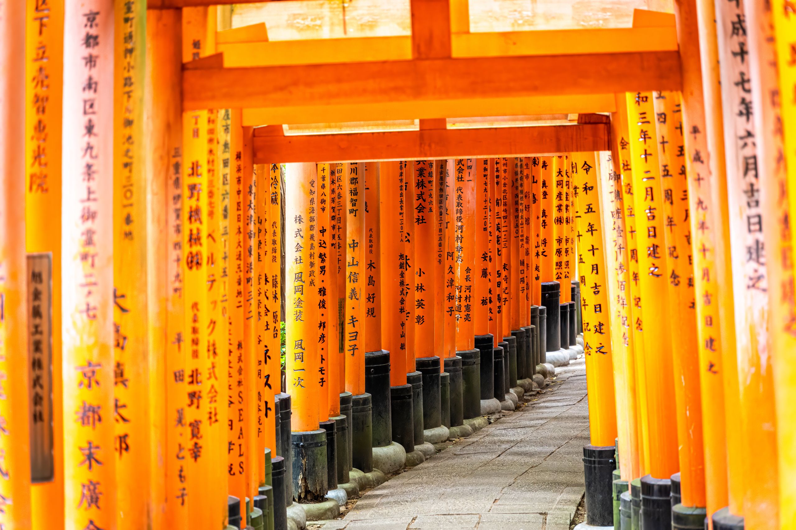Japon 2025 777ok