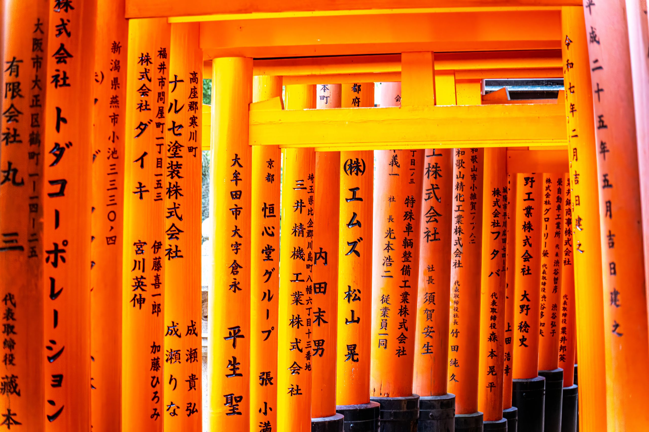 Japon - Kyoto IV