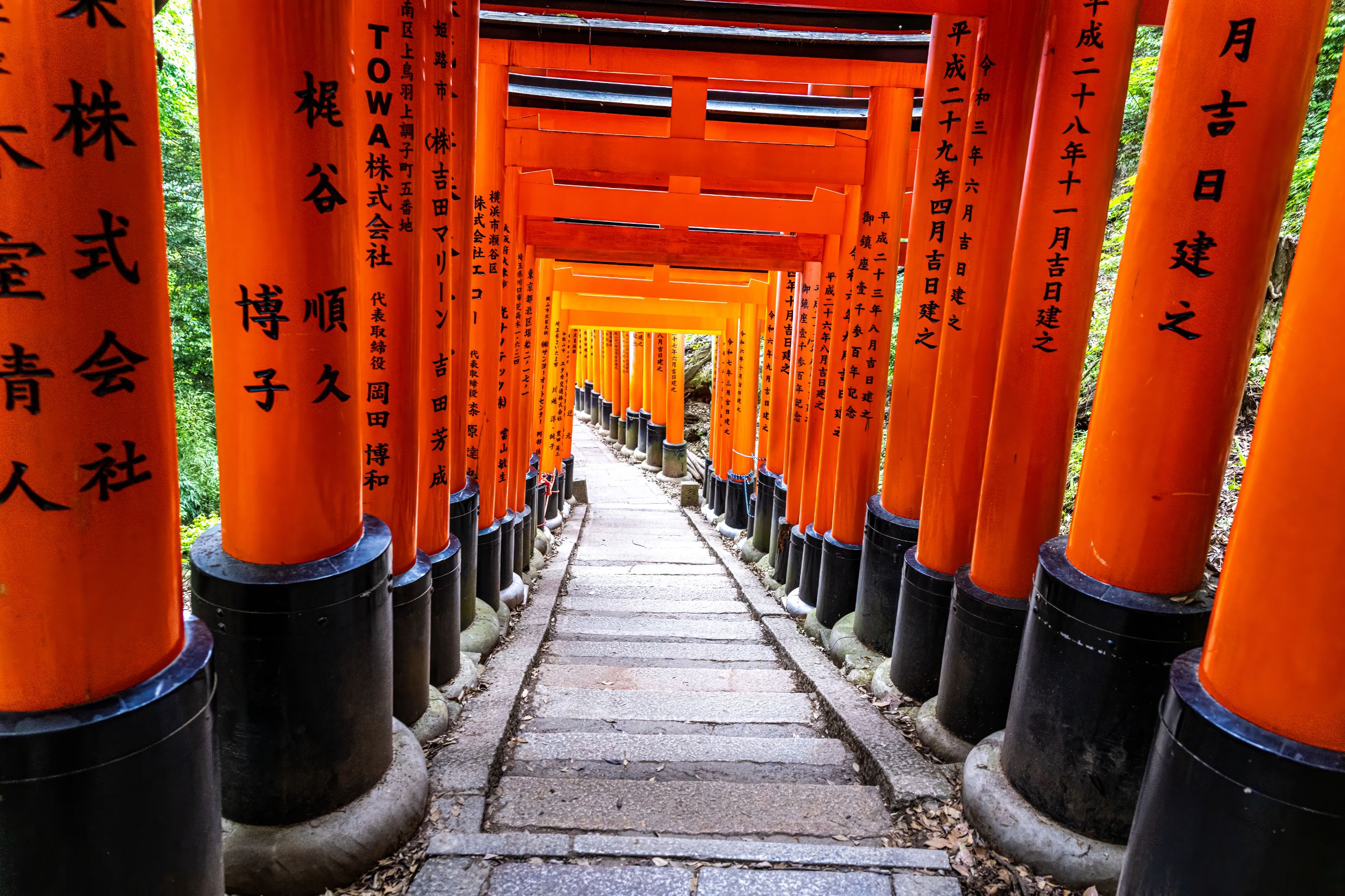 Japon 2025 786ok