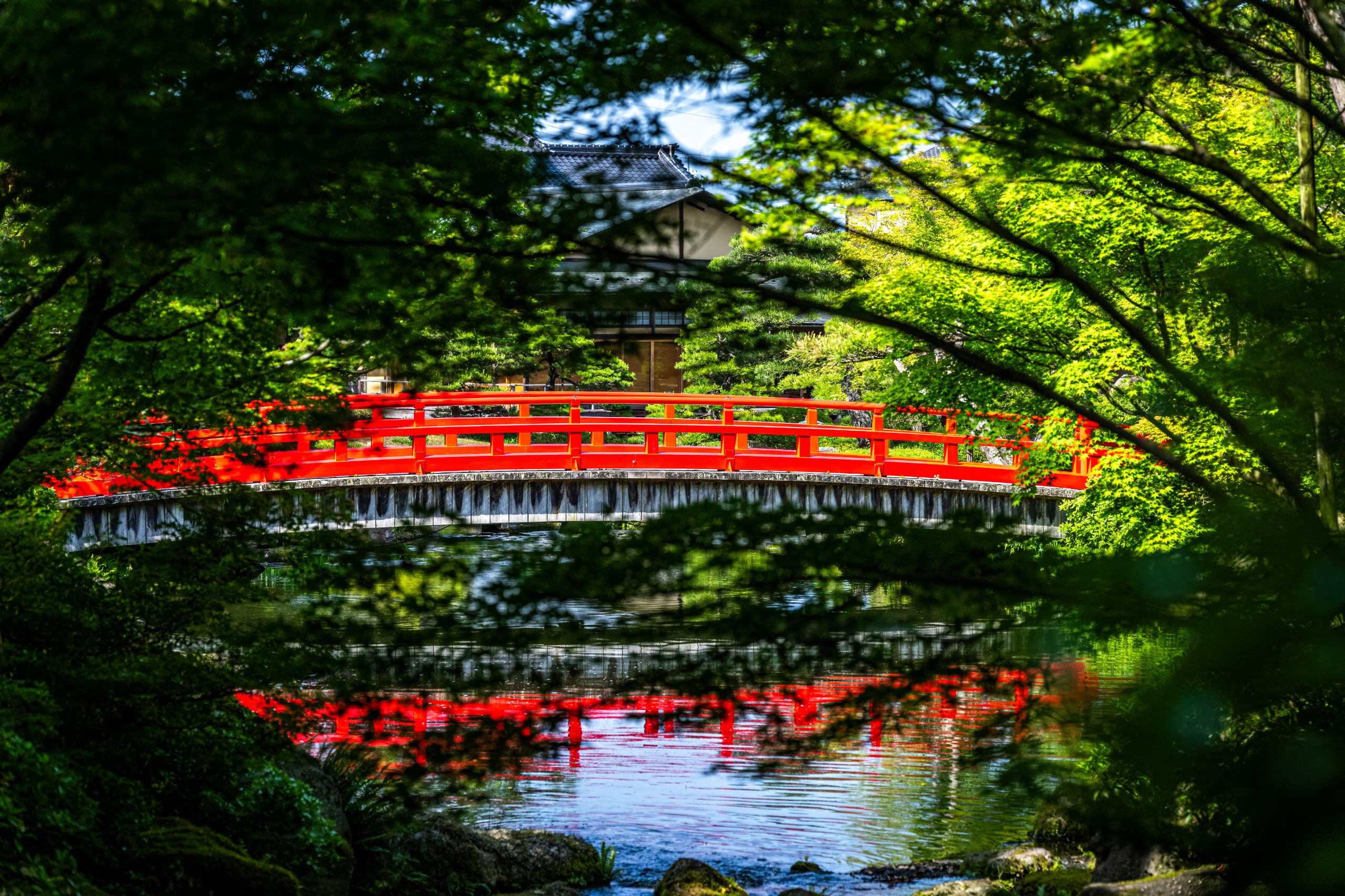 Japon 2025 222ok