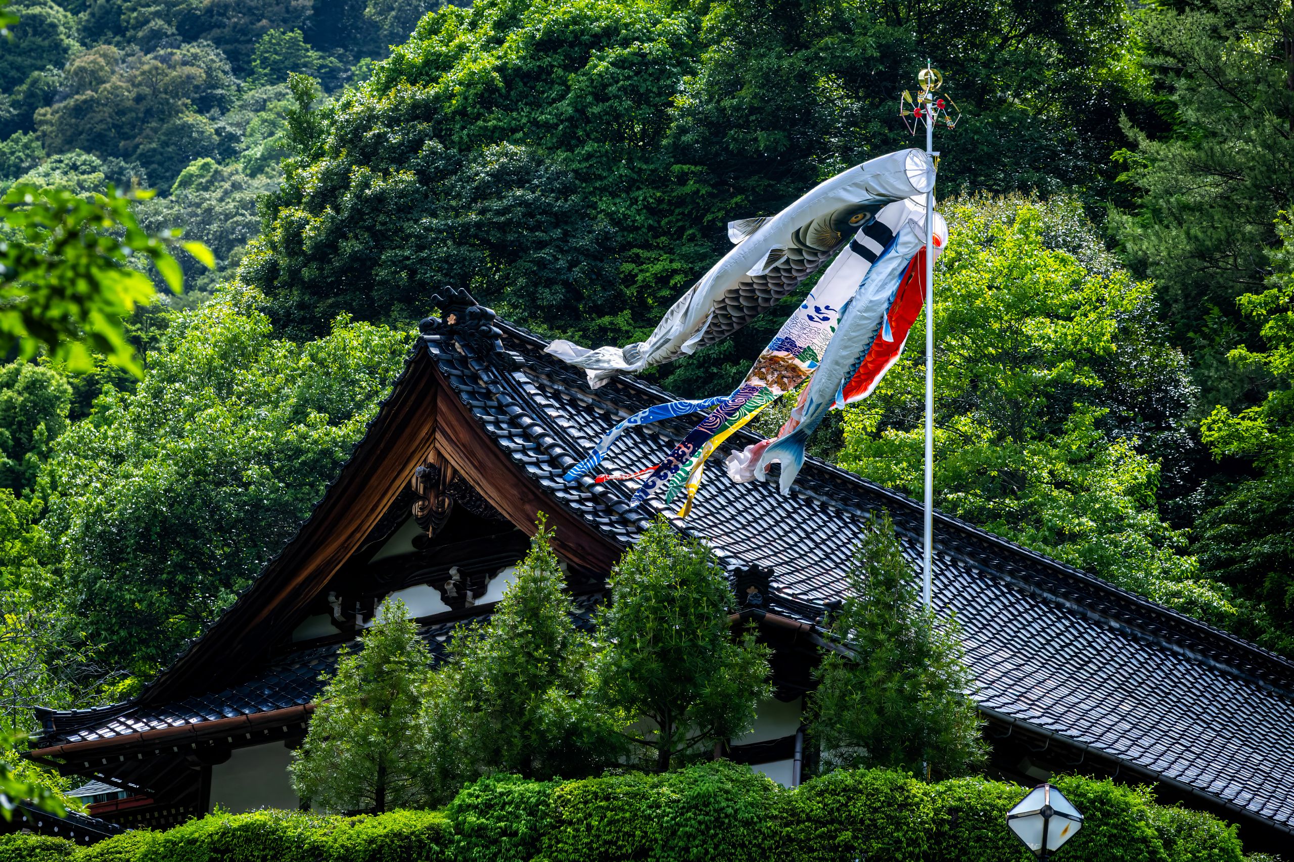Japon 2025 335ok
