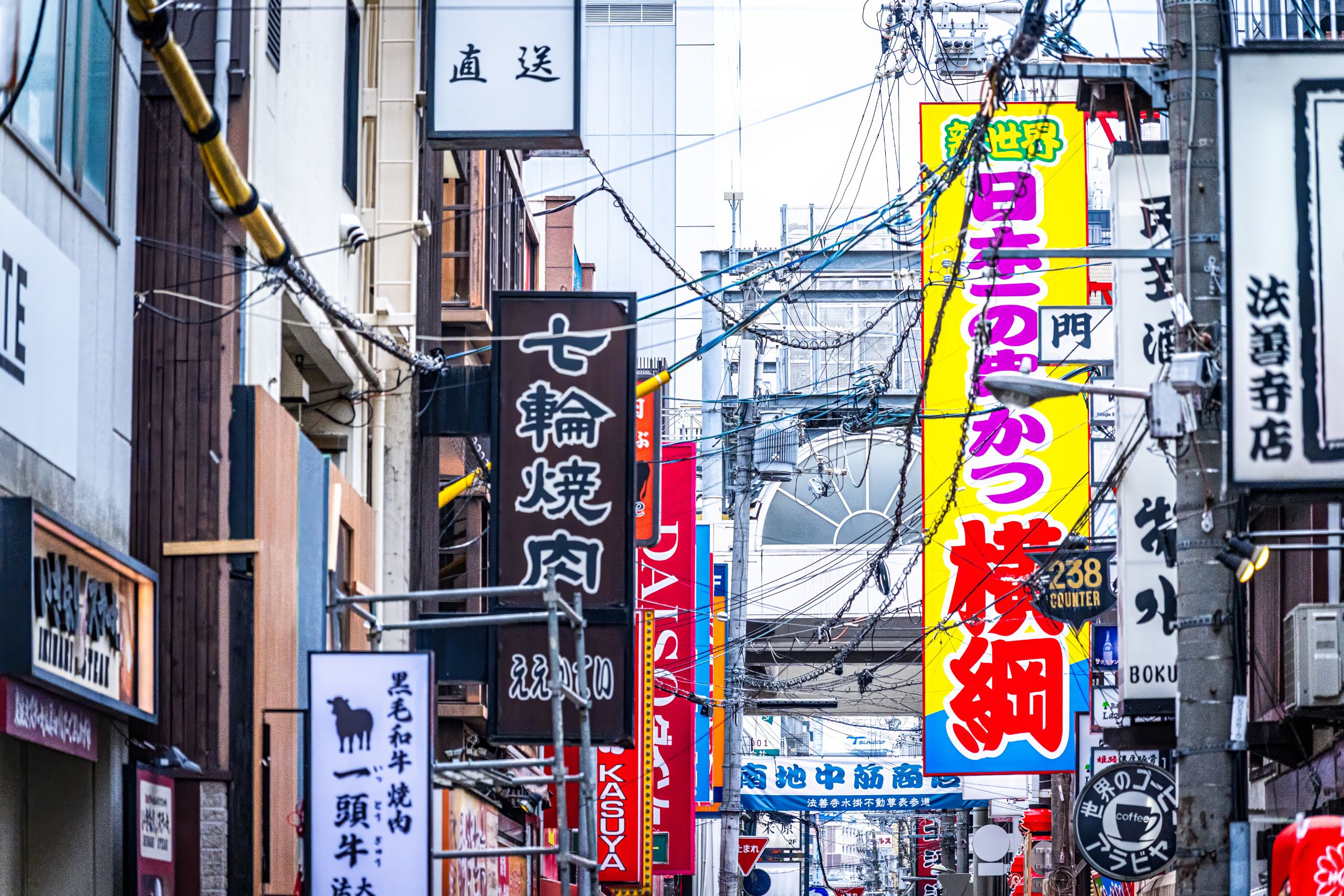 Japon 2025 973ok