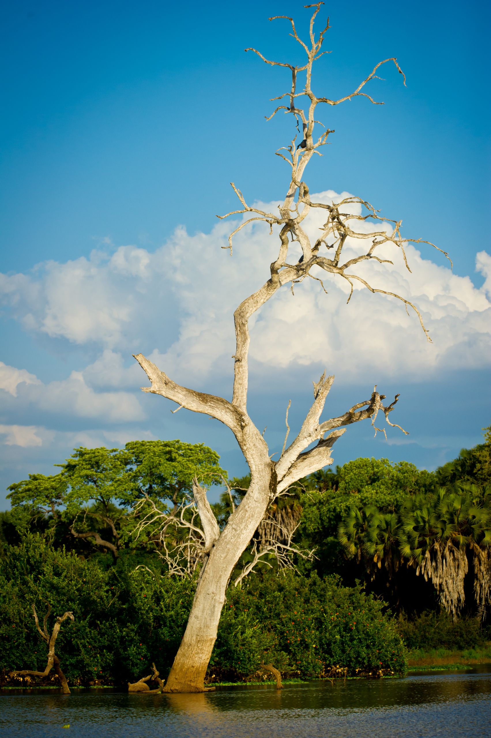 Tanzanie 2012 0420