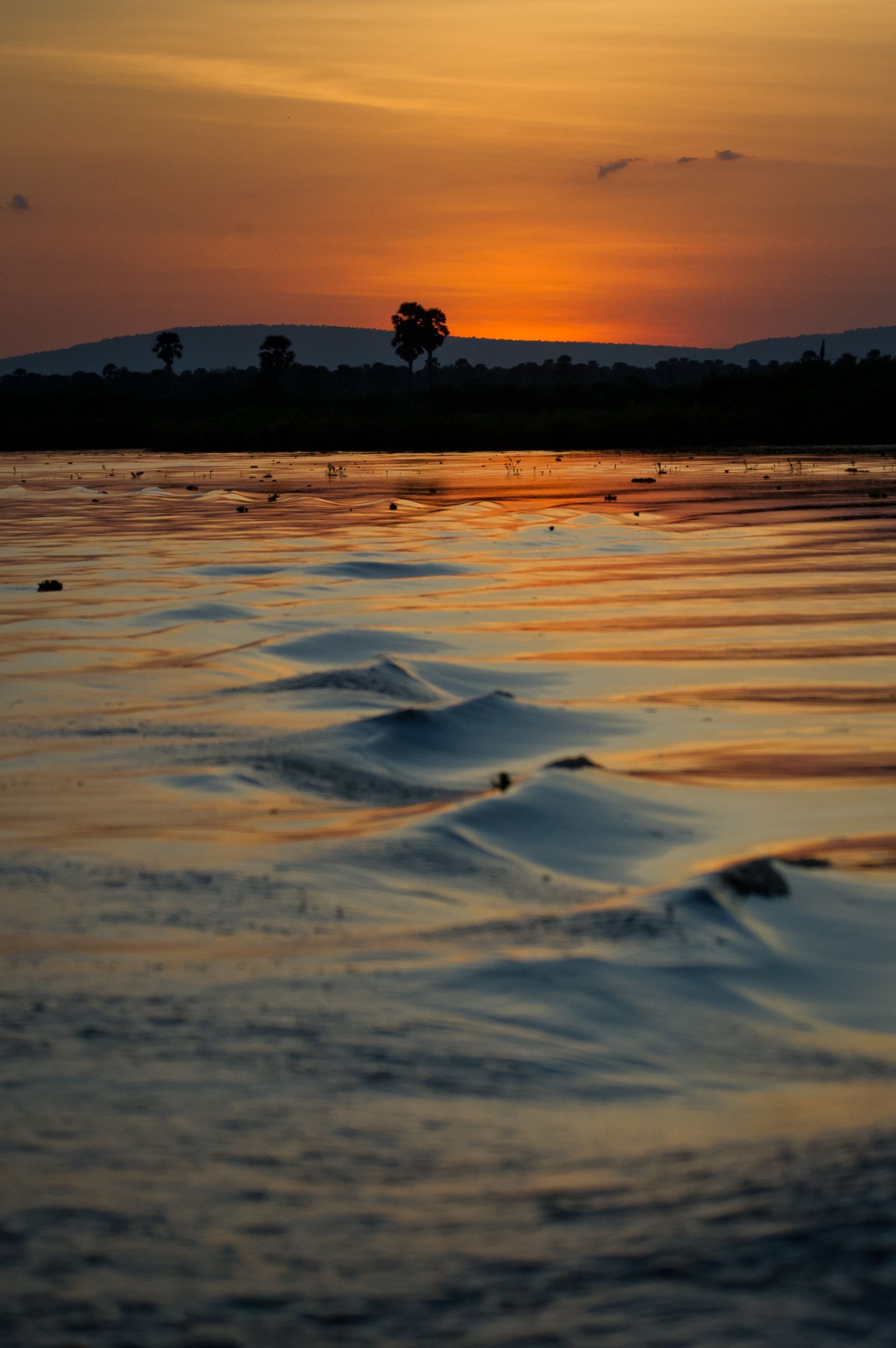 Tanzanie 2012 0669