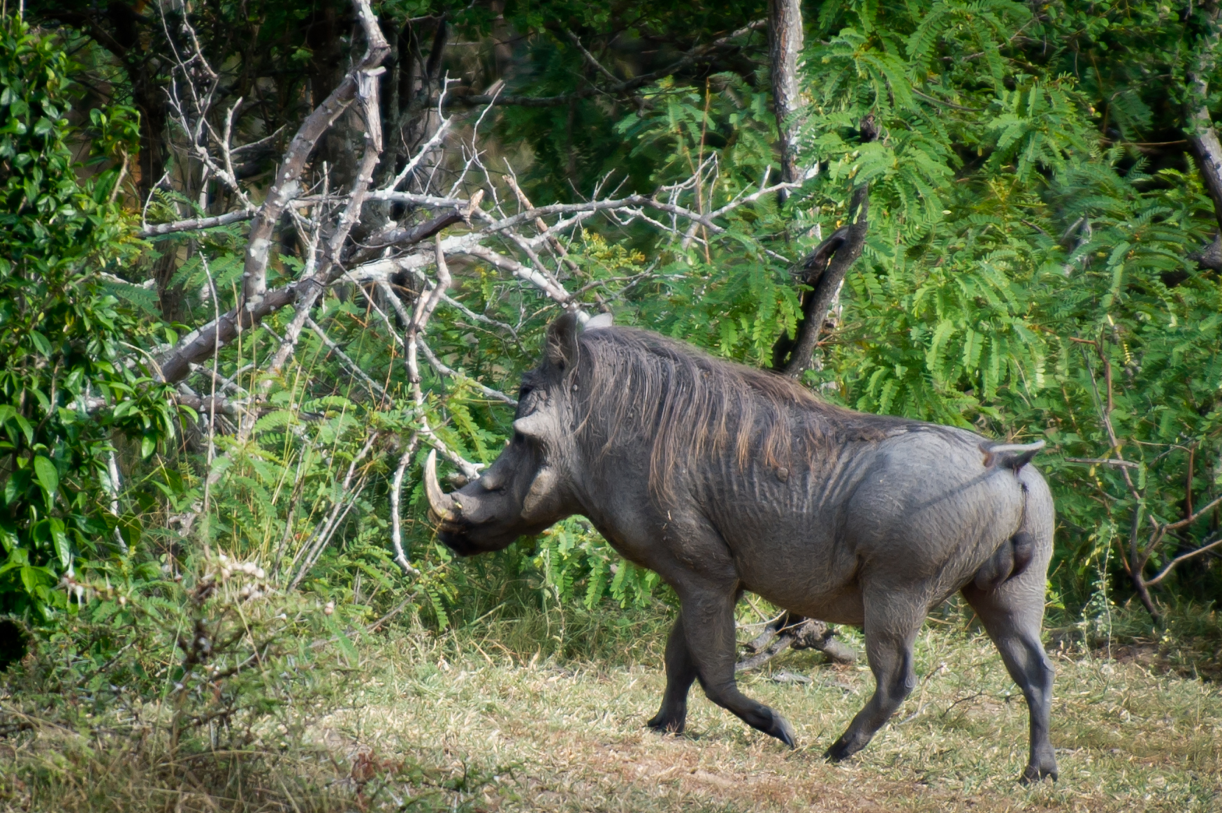 Tanzanie 2012 0703