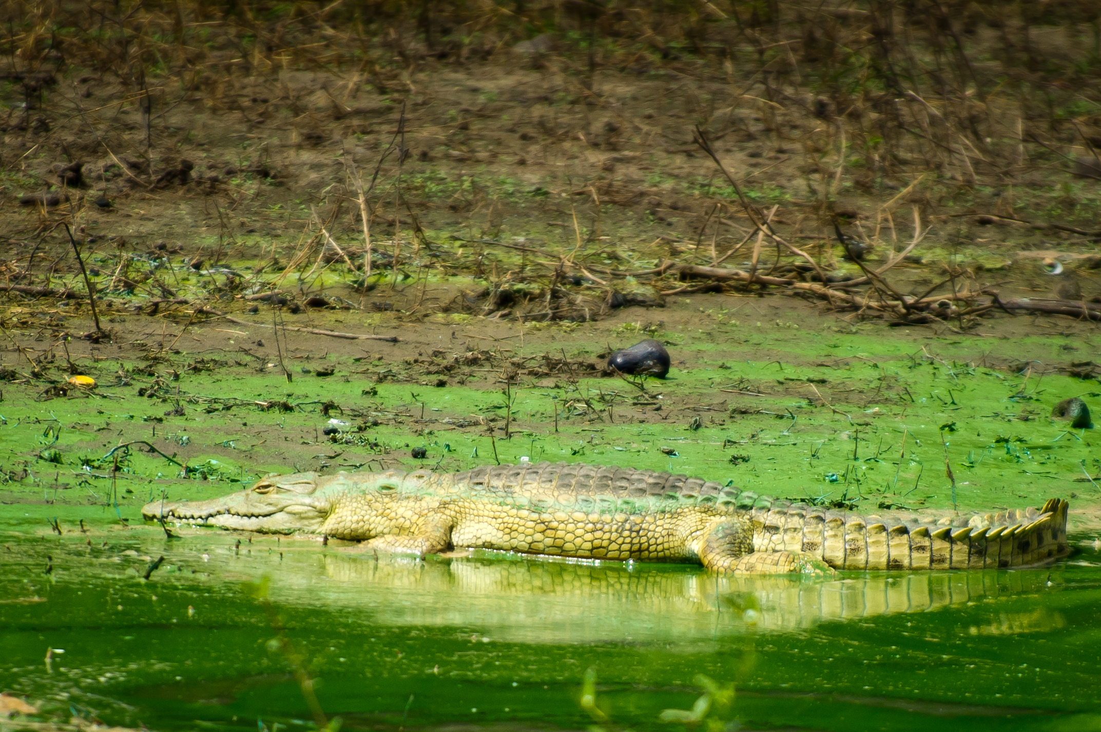 Tanzanie 2012 0857