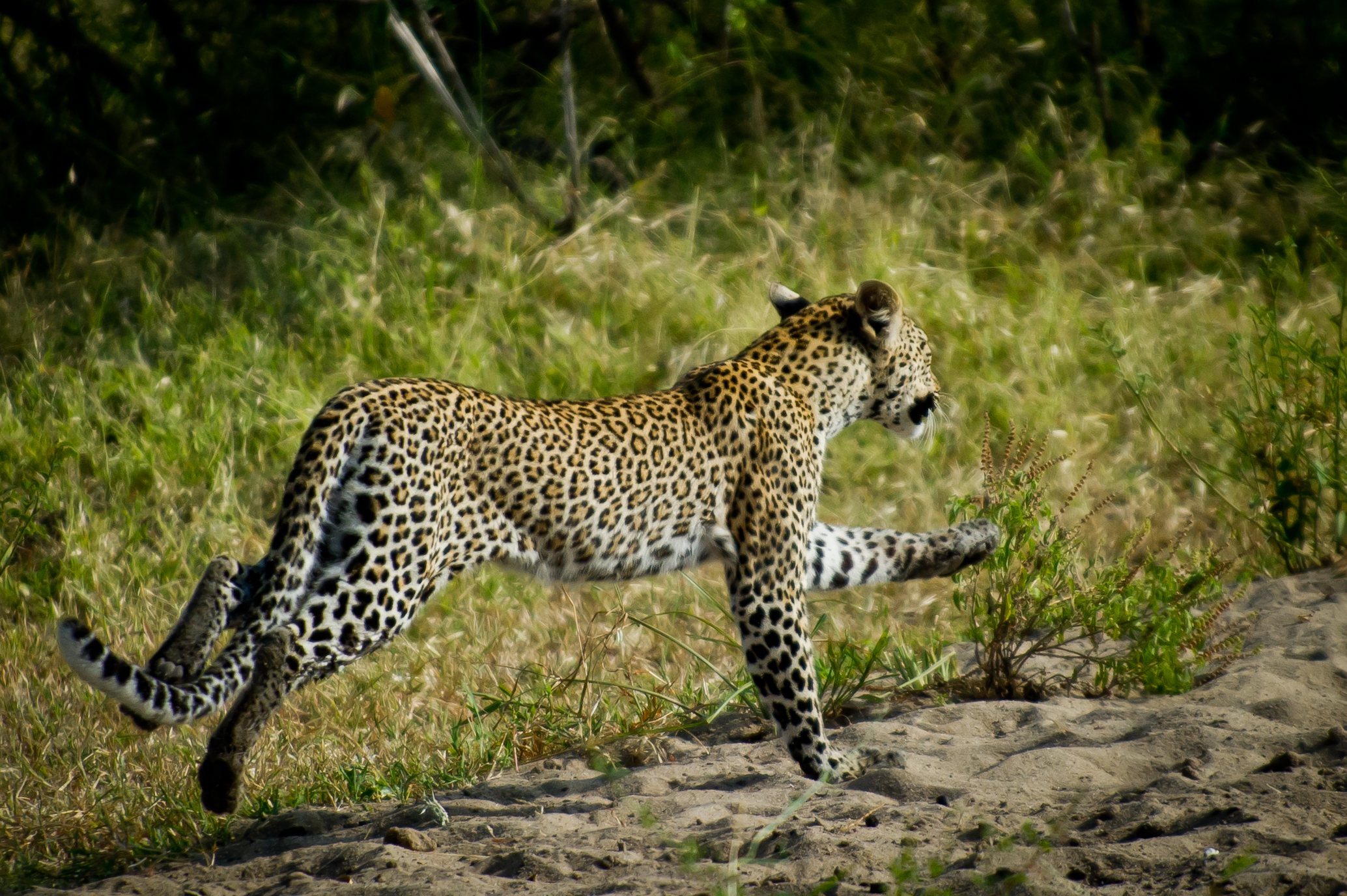 Tanzanie 2012 1149