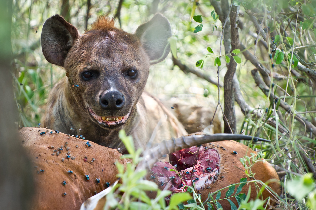 Tanzanie 2012 1425