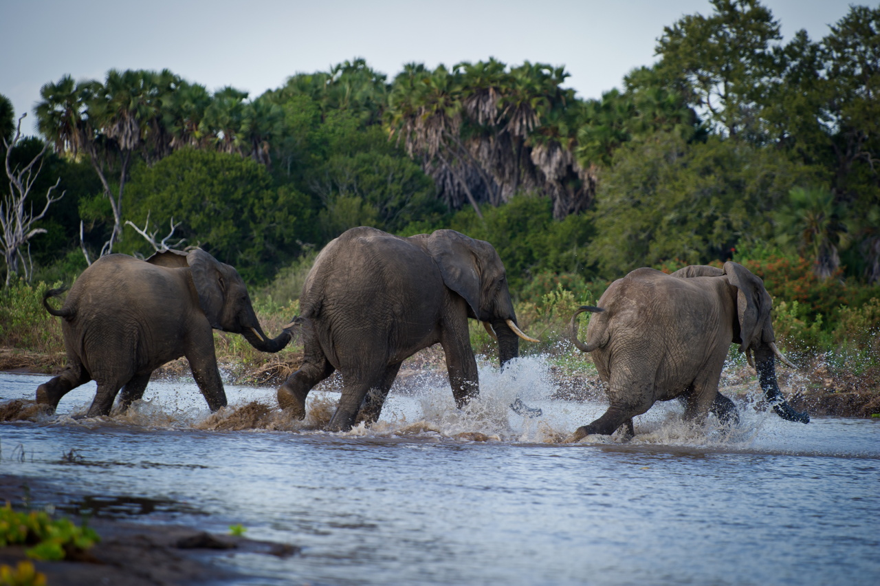 Tanzanie 2012 2175