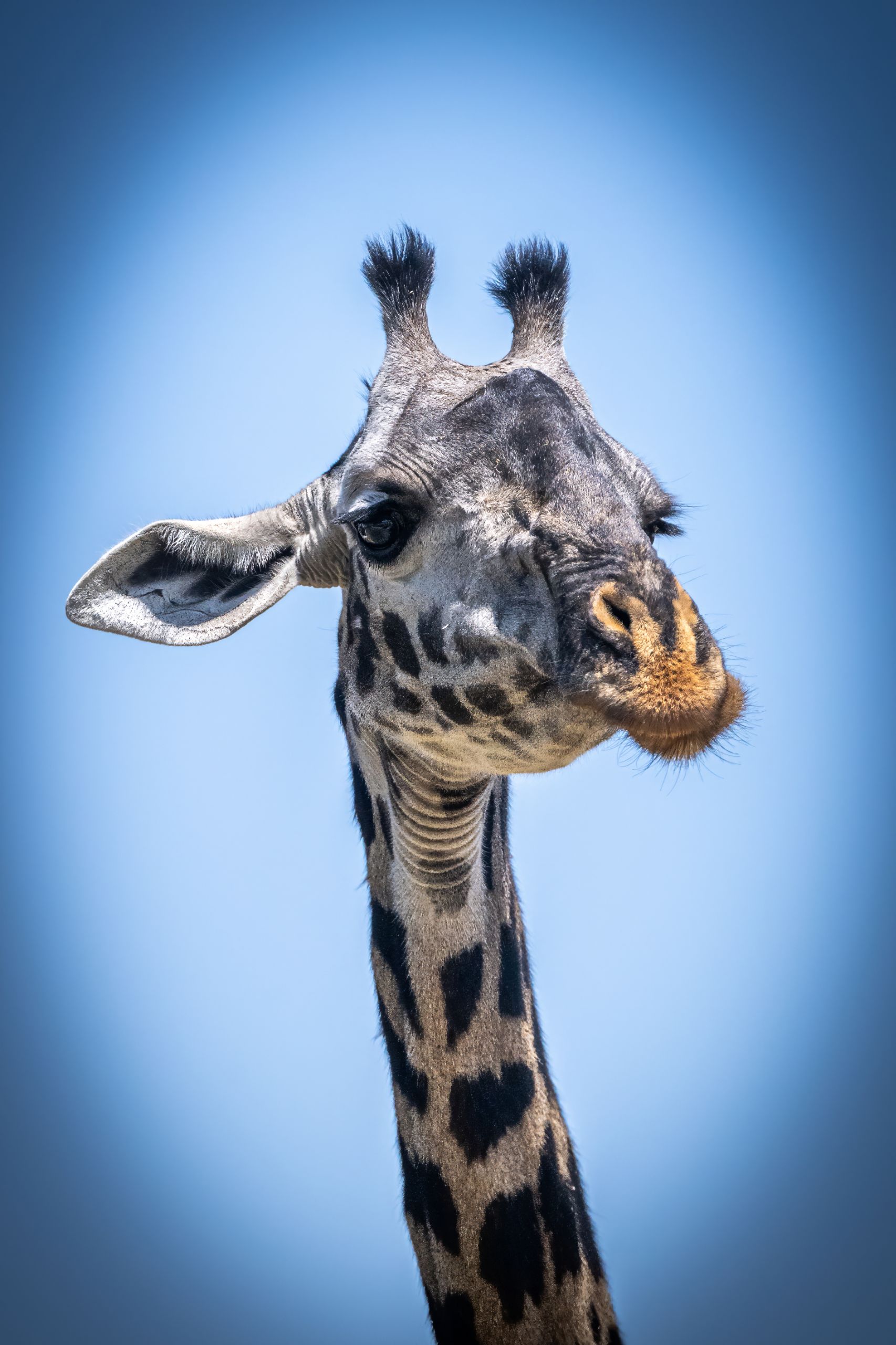Tanzanie 2024 015ok