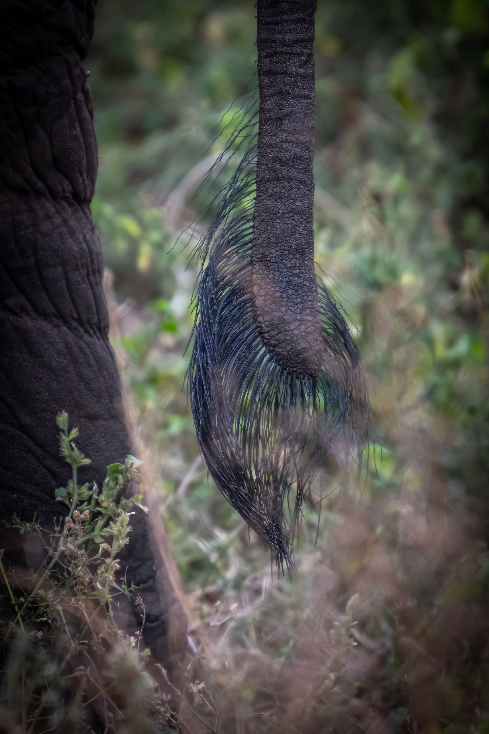 Tanzanie 2024 101