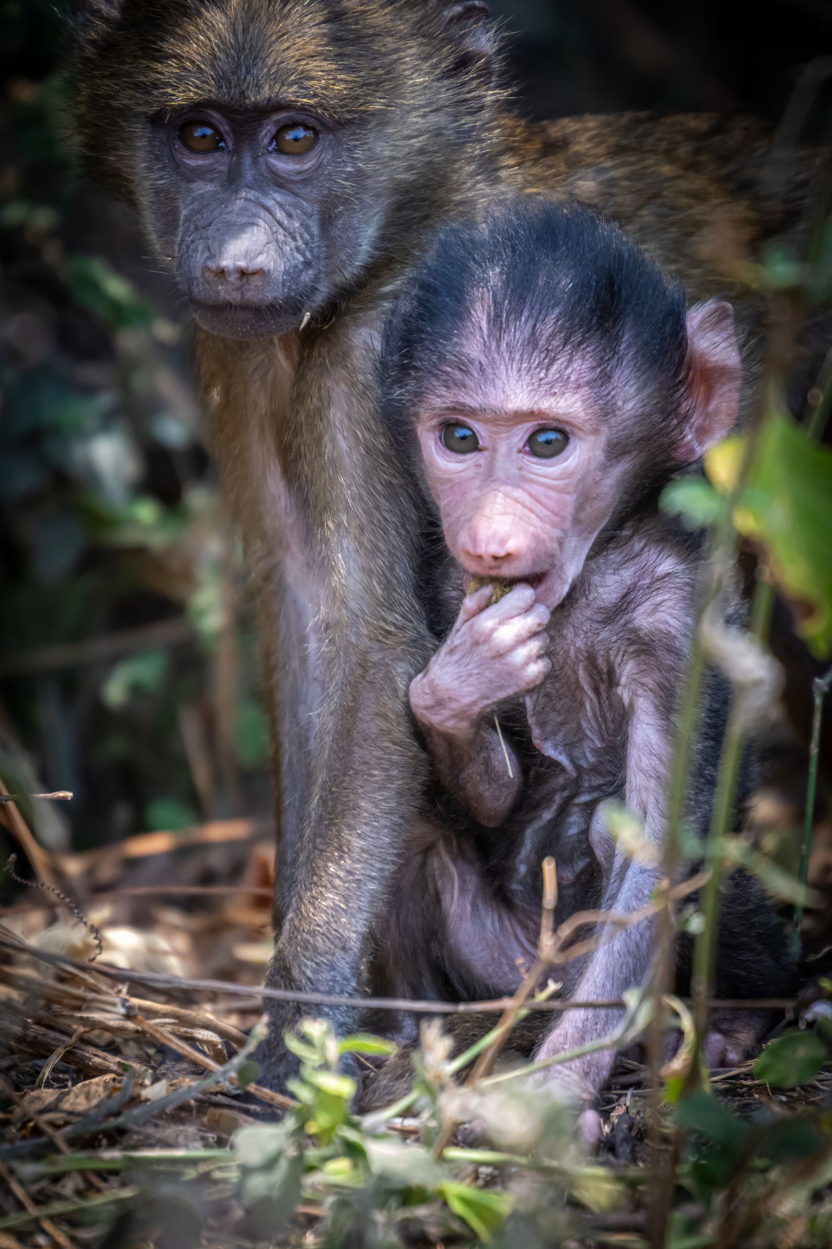 Tanzanie 2024 116